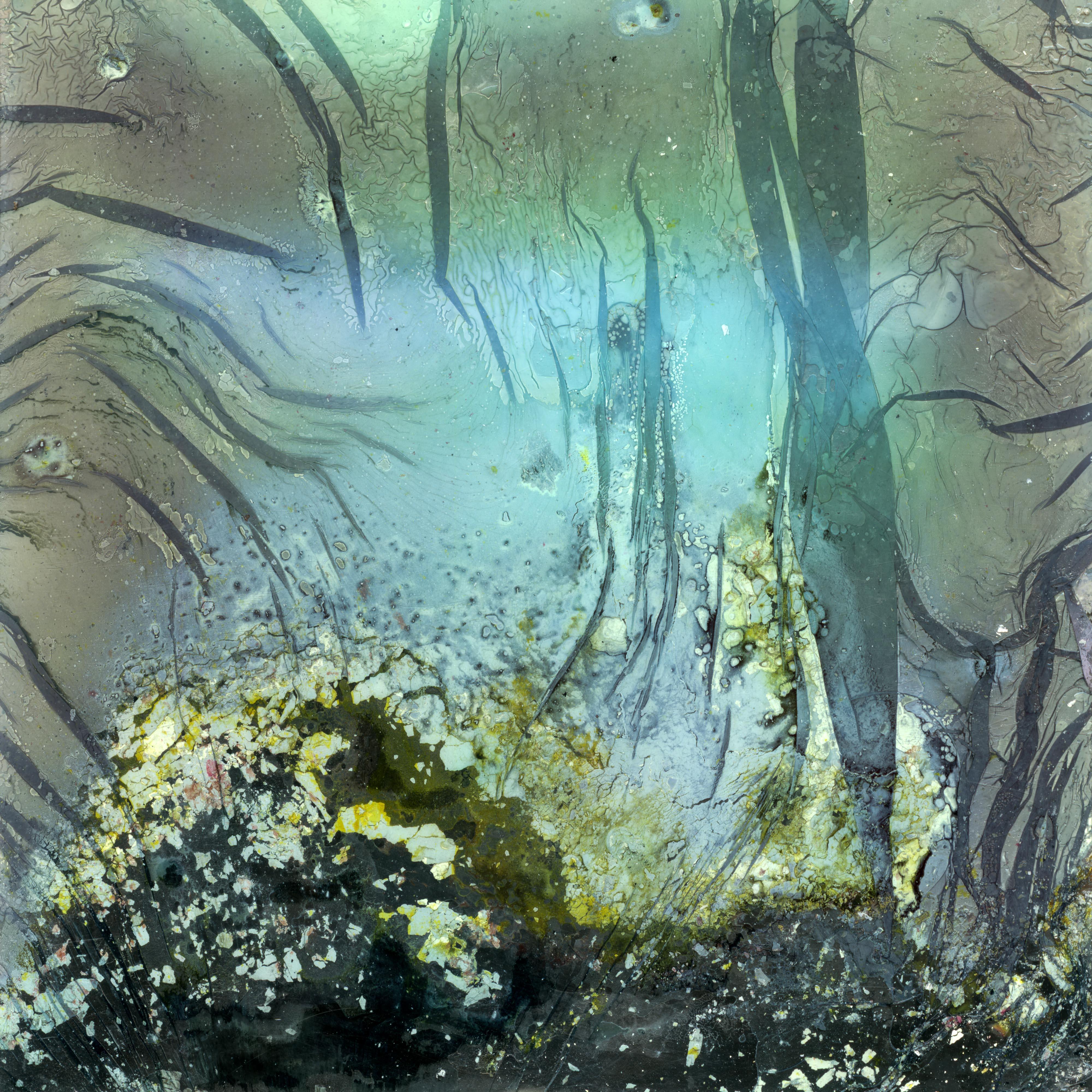 Come walk with me - Contemporary, Akt, Frauen, Polaroid, 21. Jahrhundert
