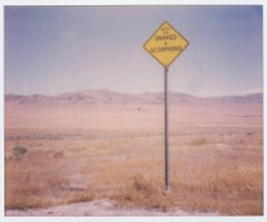 Danger, Danger - Polaroid, 21. Jahrhundert, Zeitgenössisch, Farbe, Landschaft