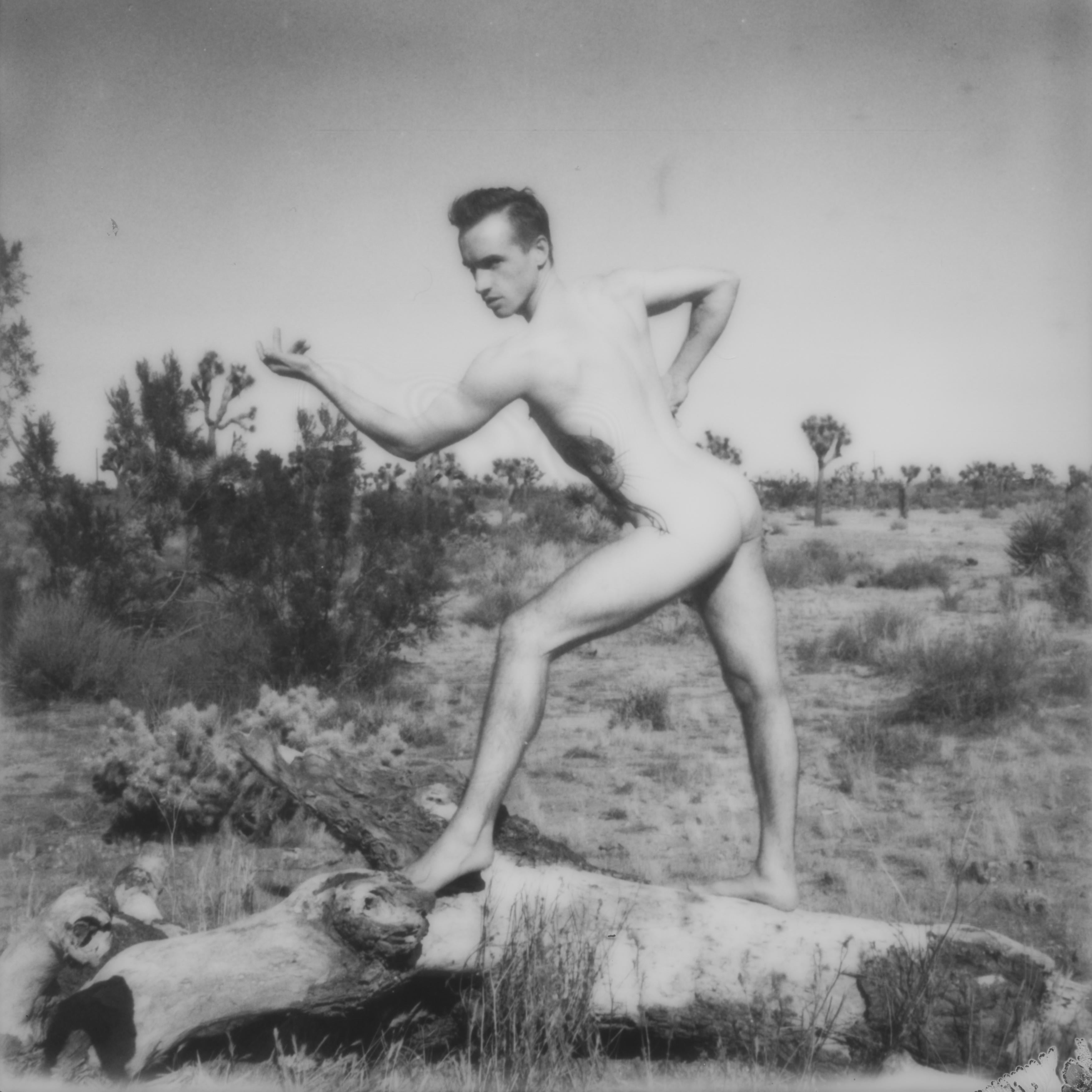 Demonstrate - Contemporary, Polaroid, Nude, 21st Century, Joshua Tree