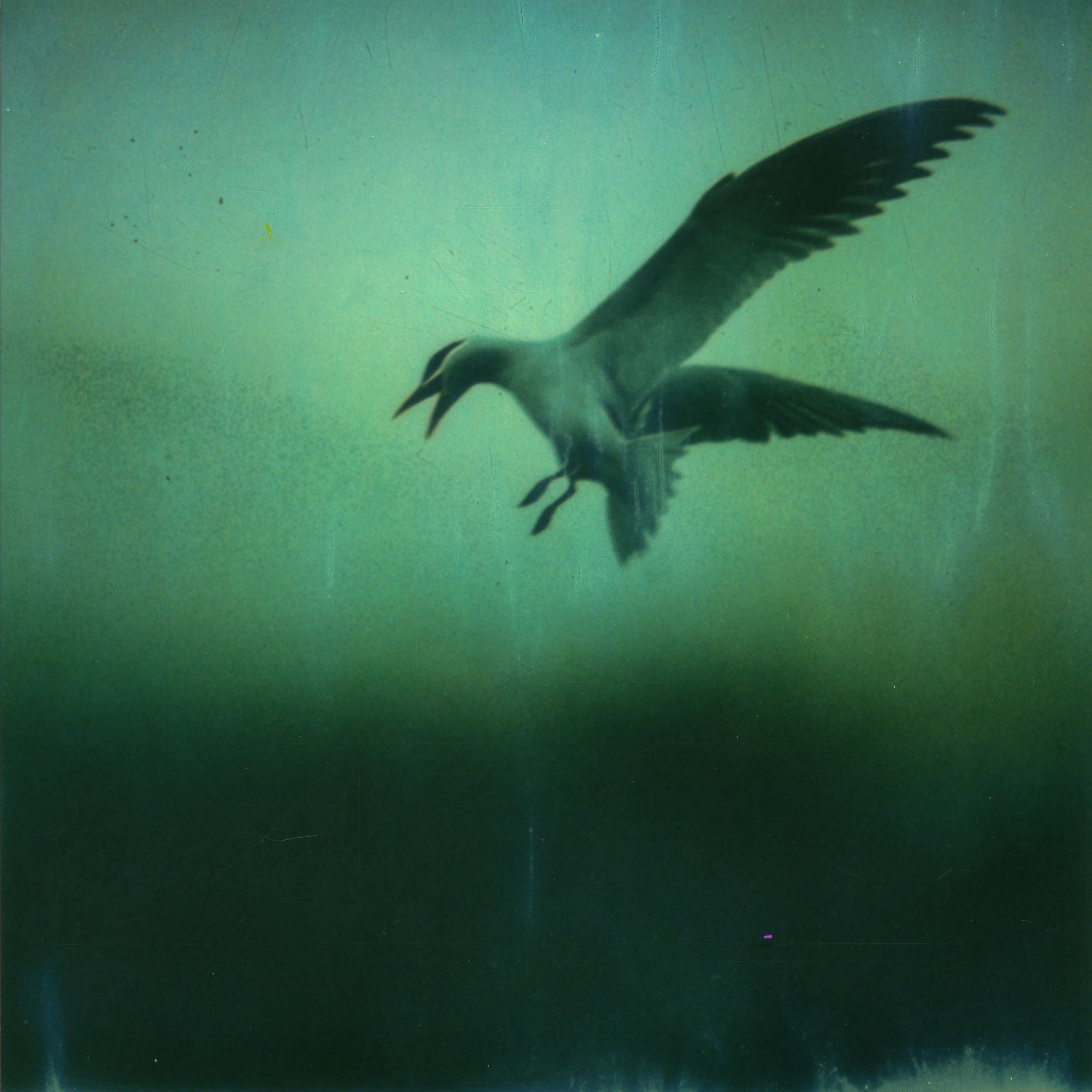 Kirsten Thys van den Audenaerde Color Photograph - Freefalling - Contemporary, Portrait, Women, Polaroid, 21st Century