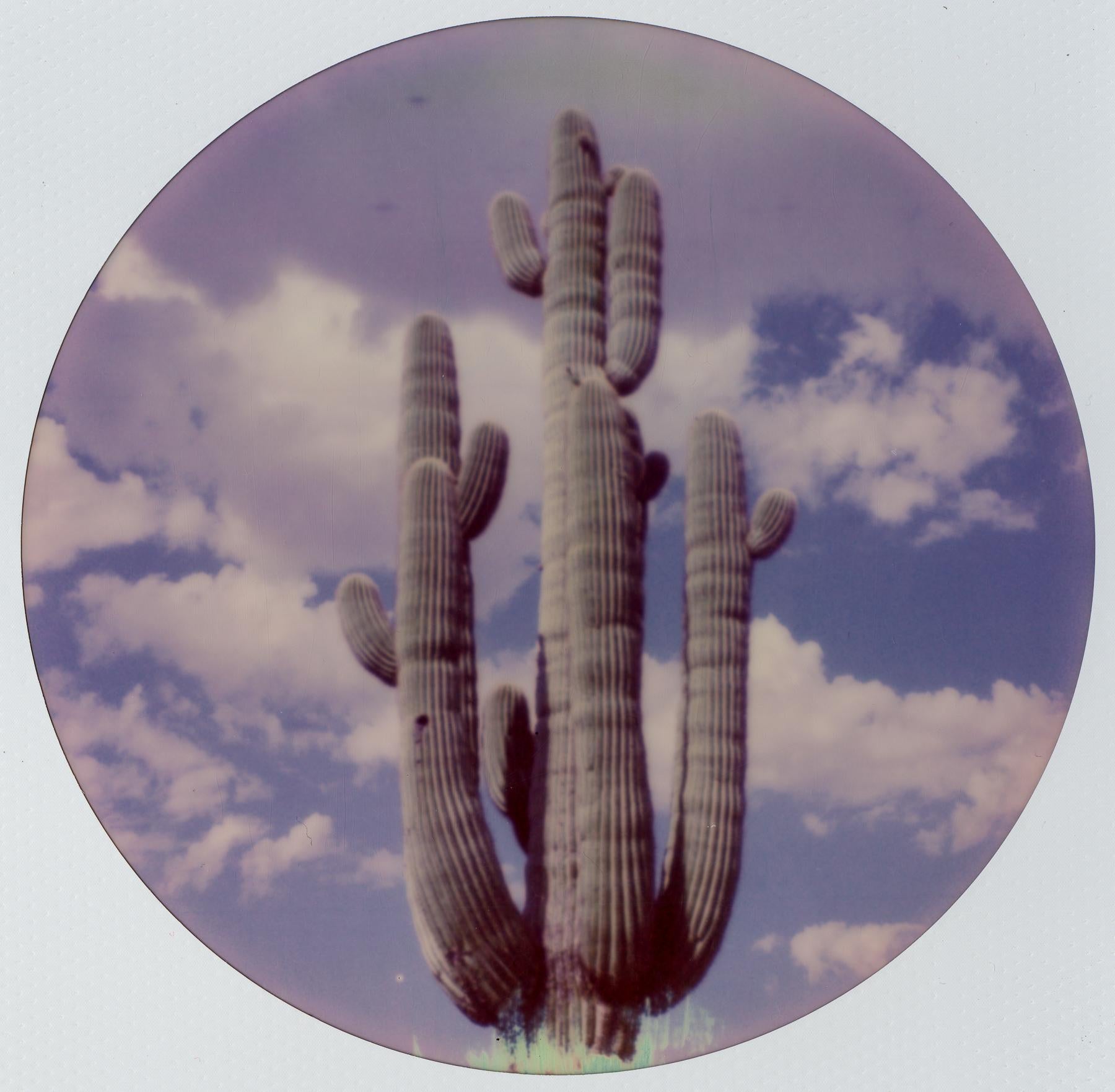 Head in the Clouds - Contemporary, Landscape, Woman, Landscape, Polaroid