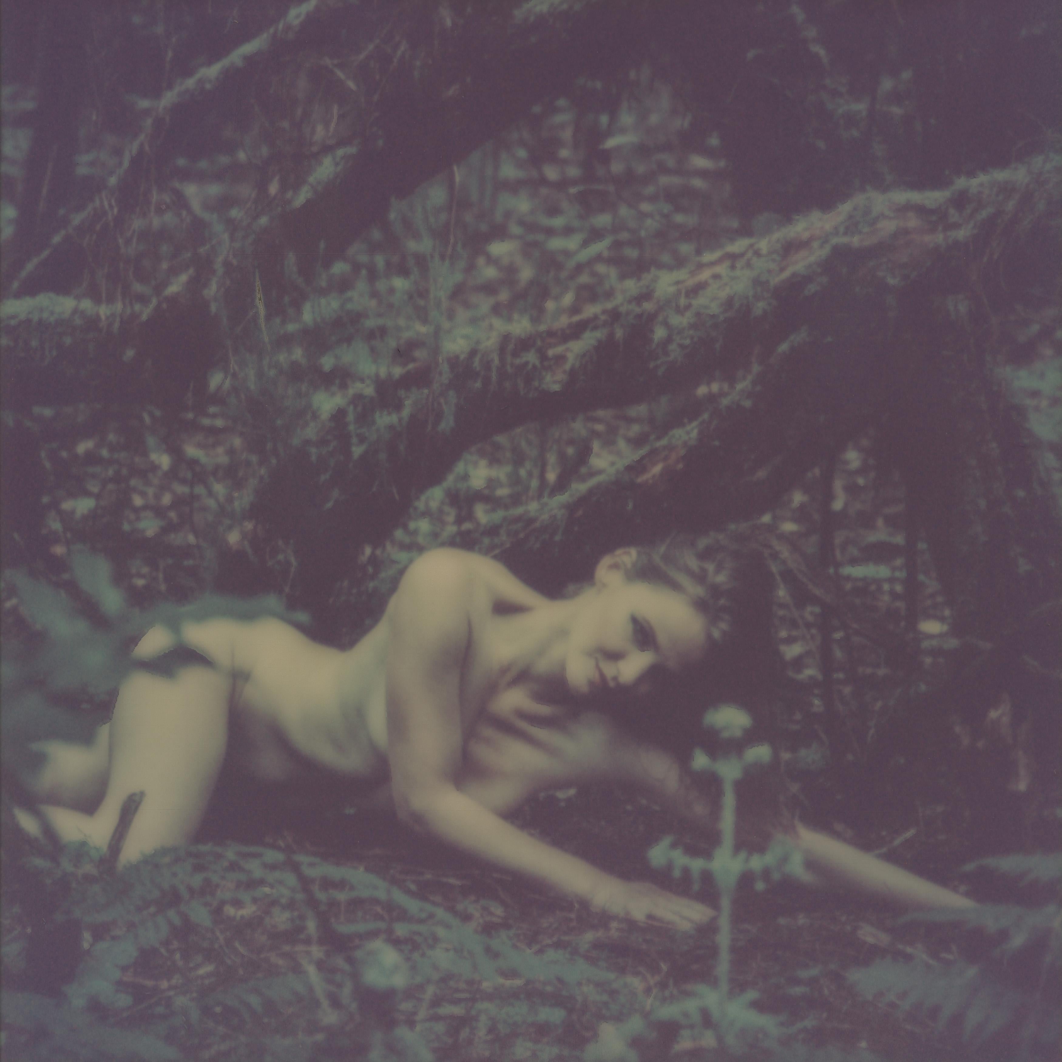 Color Photograph di Kirsten Thys van den Audenaerde - Verso la caduta - Contemporaneo, Nudo, Donne, Polaroid, 21° secolo