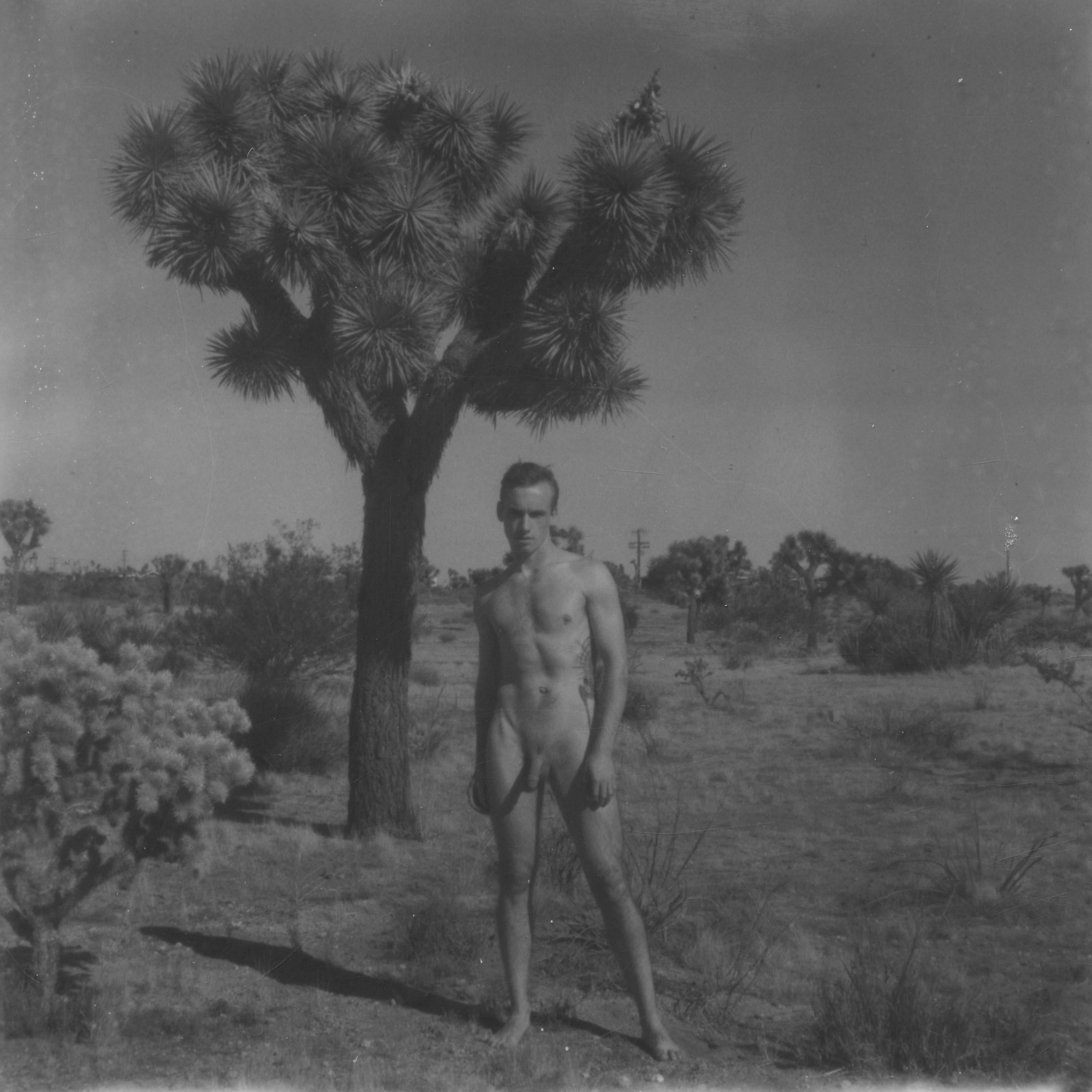 Kirsten Thys van den Audenaerde Nude Photograph - Here and now - Contemporary, Polaroid, Nude, 21st Century, Joshua Tree