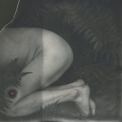 Homo Naturalis - 21st Century, Polaroid, Photography, Contemporary