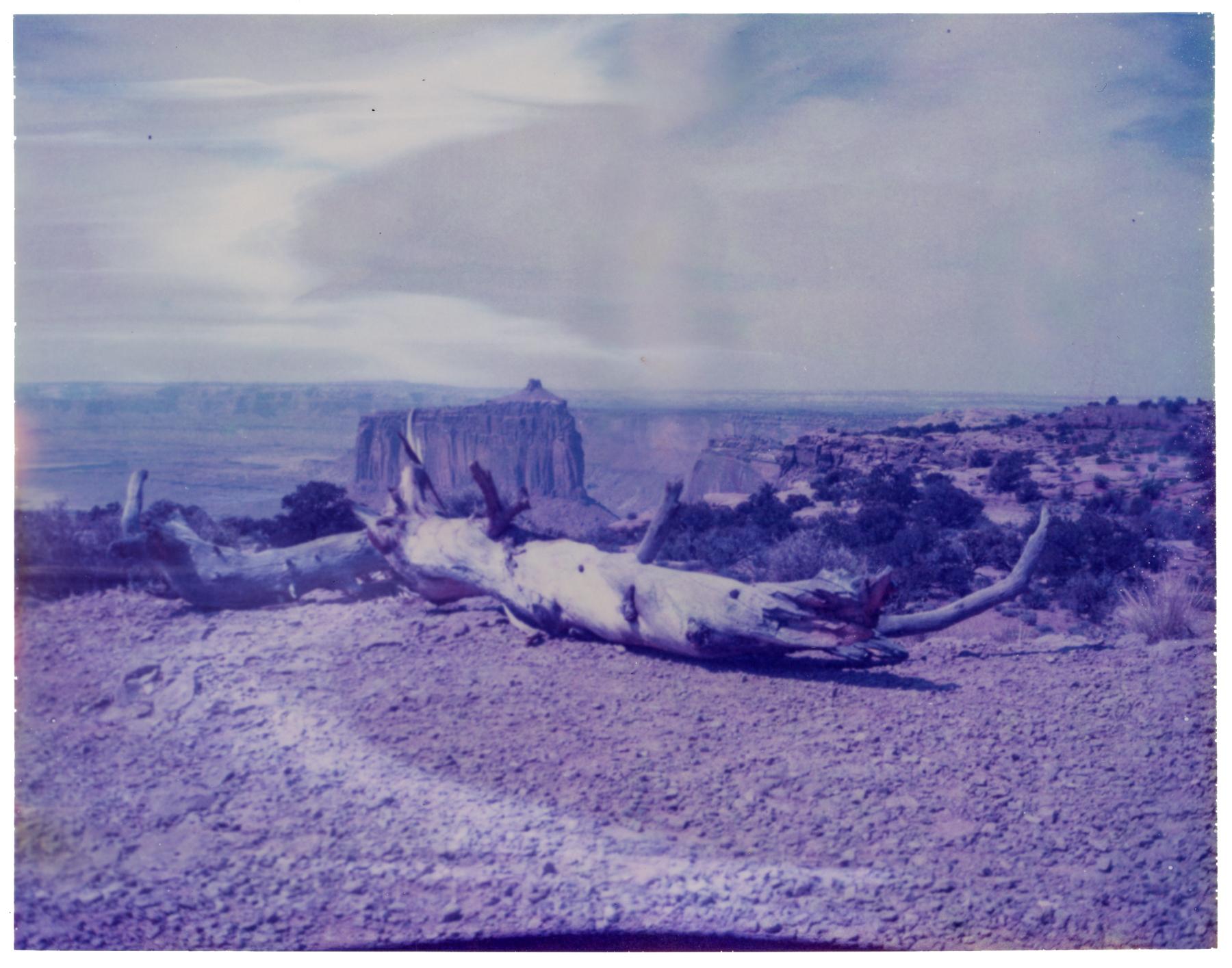 Kirsten Thys van den Audenaerde Color Photograph – Abstrahierte Moab- Erinnerungen