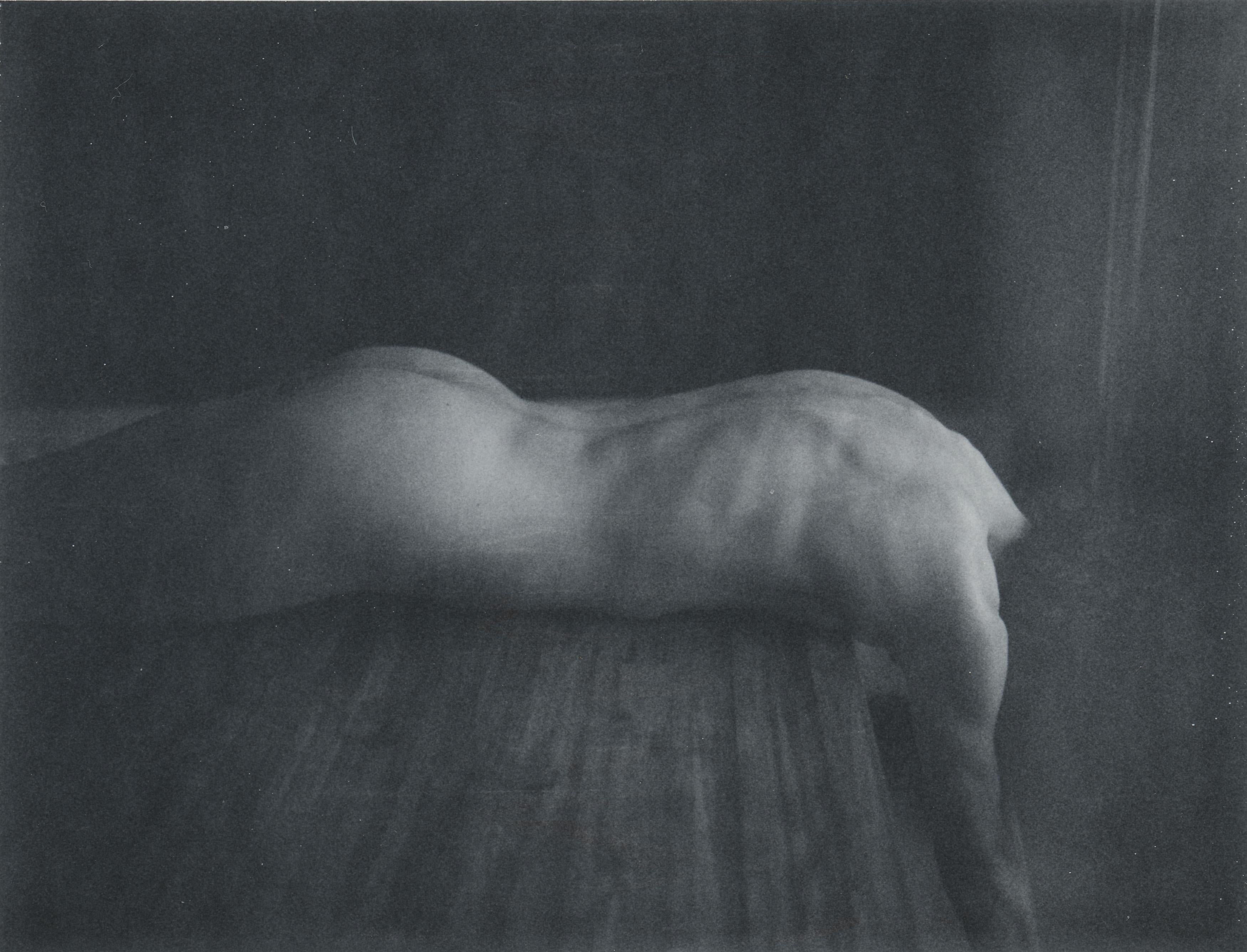 Kirsten Thys van den Audenaerde Nude Photograph - Noise - Contemporary, Nude, Women, Polaroid, 21st Century