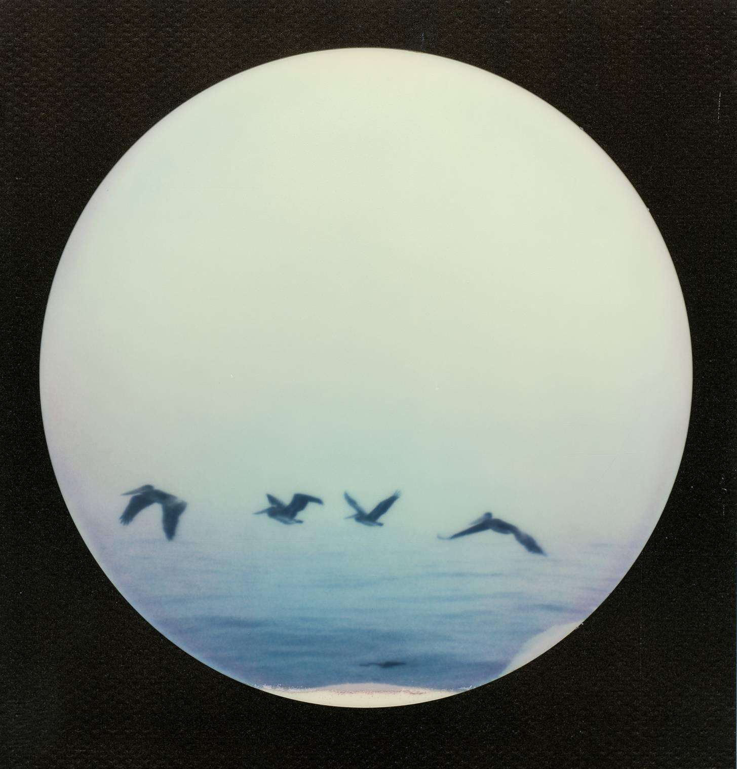 Pelican Party, 2016, Edition 2/7 plus 2 Artist Proofs
Based on an original Polaroid, Digital C-print, not mounted.
Signed on the back and with certificate.
Artist inventory PL2016-117

Kirsten Thys van den Audenaerde is a self-taught freelance