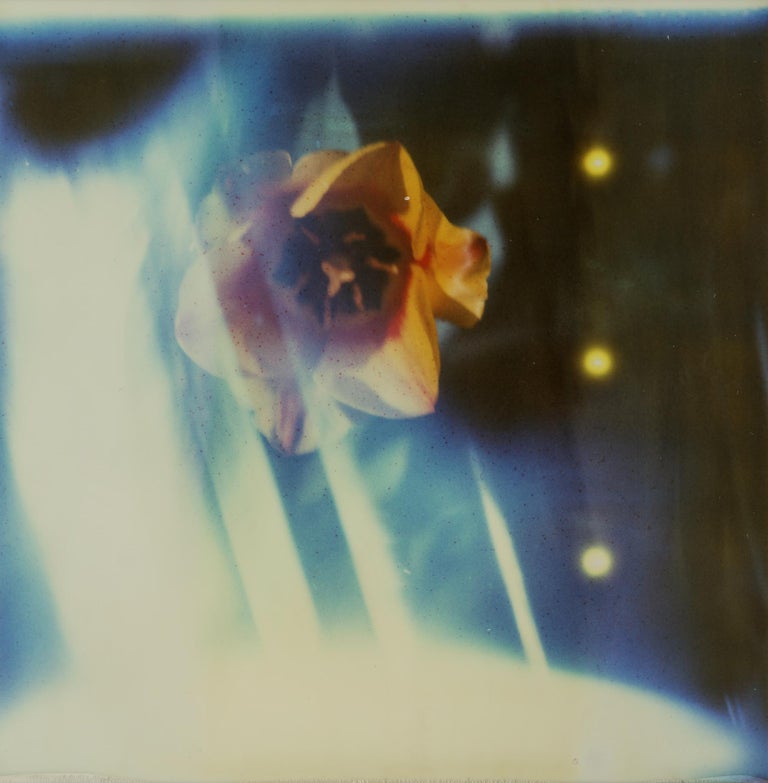 Kirsten Thys van den Audenaerde Ray of light For Sale at 1stDibs