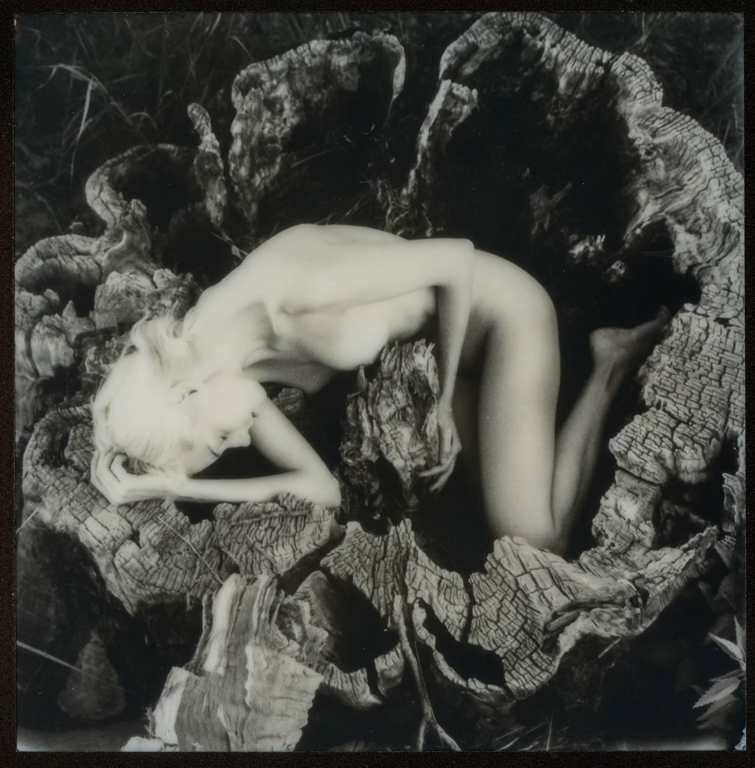 Kirsten Thys van den Audenaerde Nude Photograph - Roots