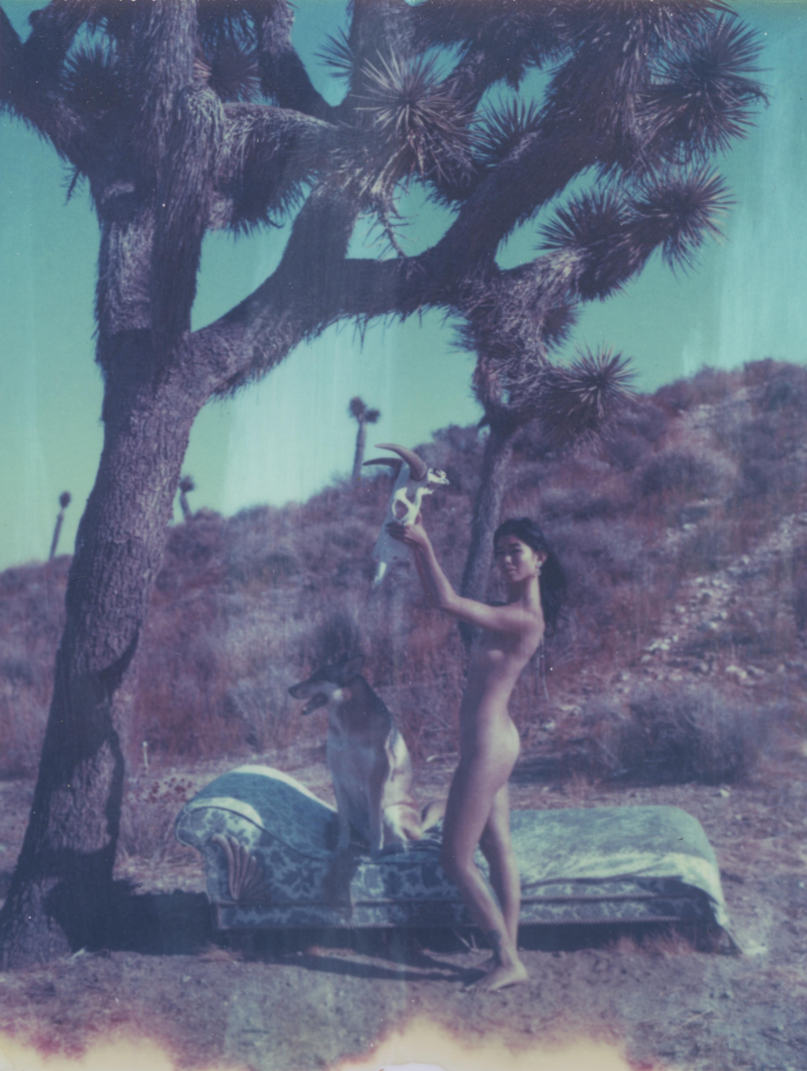 Kirsten Thys van den Audenaerde Nude Photograph - Sacrifice - 21st Century, Polaroid, Photography, Contemporary