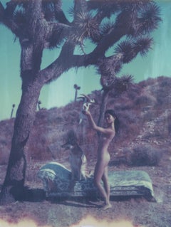 Sacrifice - 21. Jahrhundert, Polaroid, Fotografie, Contemporary
