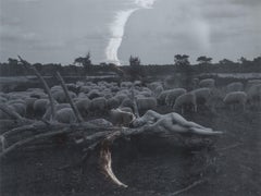Soneto - Contemporáneo, Desnudo, Mujer, Polaroid, Siglo XXI