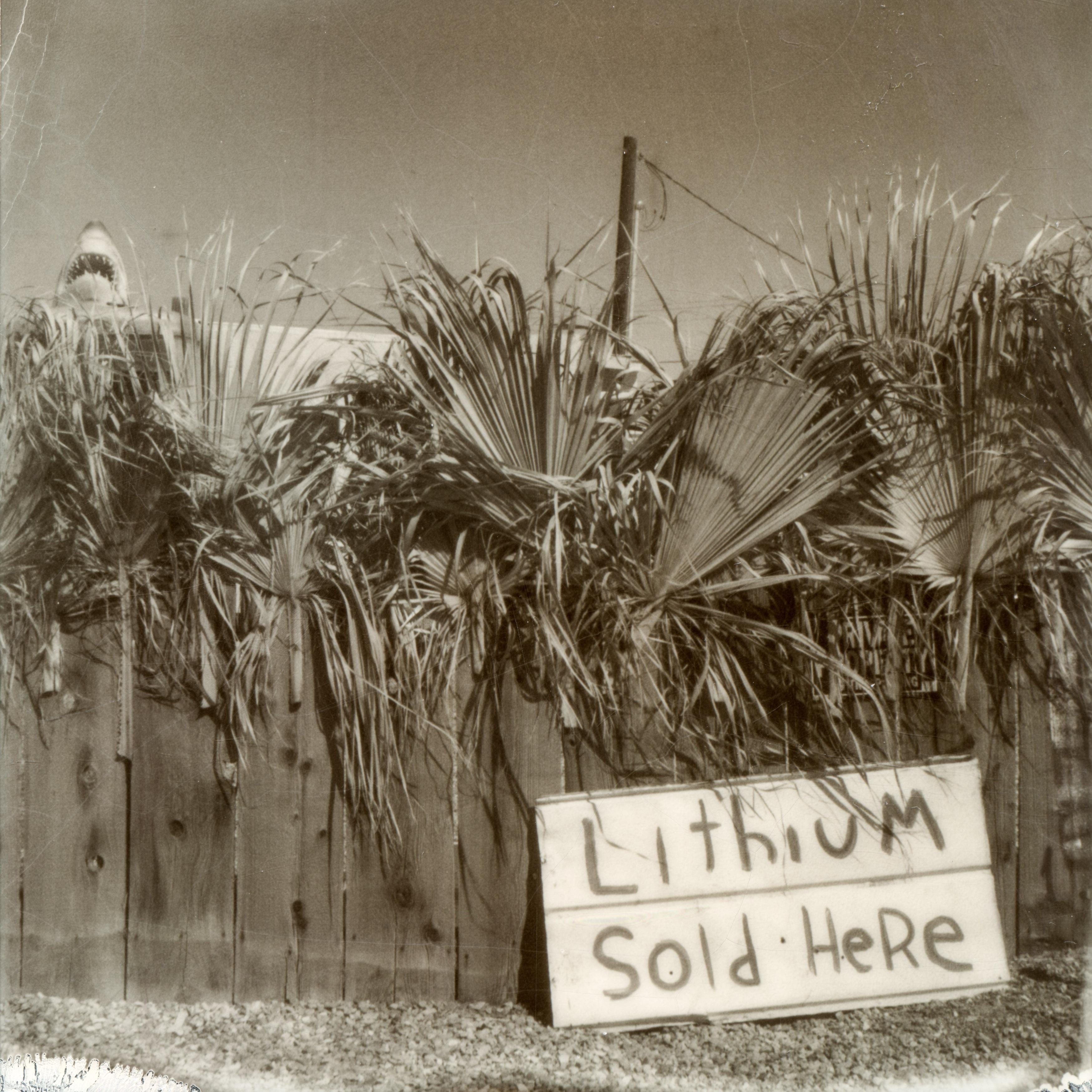 Black and White Photograph di Kirsten Thys van den Audenaerde - Strange Currencies (Bombay Beach) - Contemporaneo, Paesaggio, Polaroid
