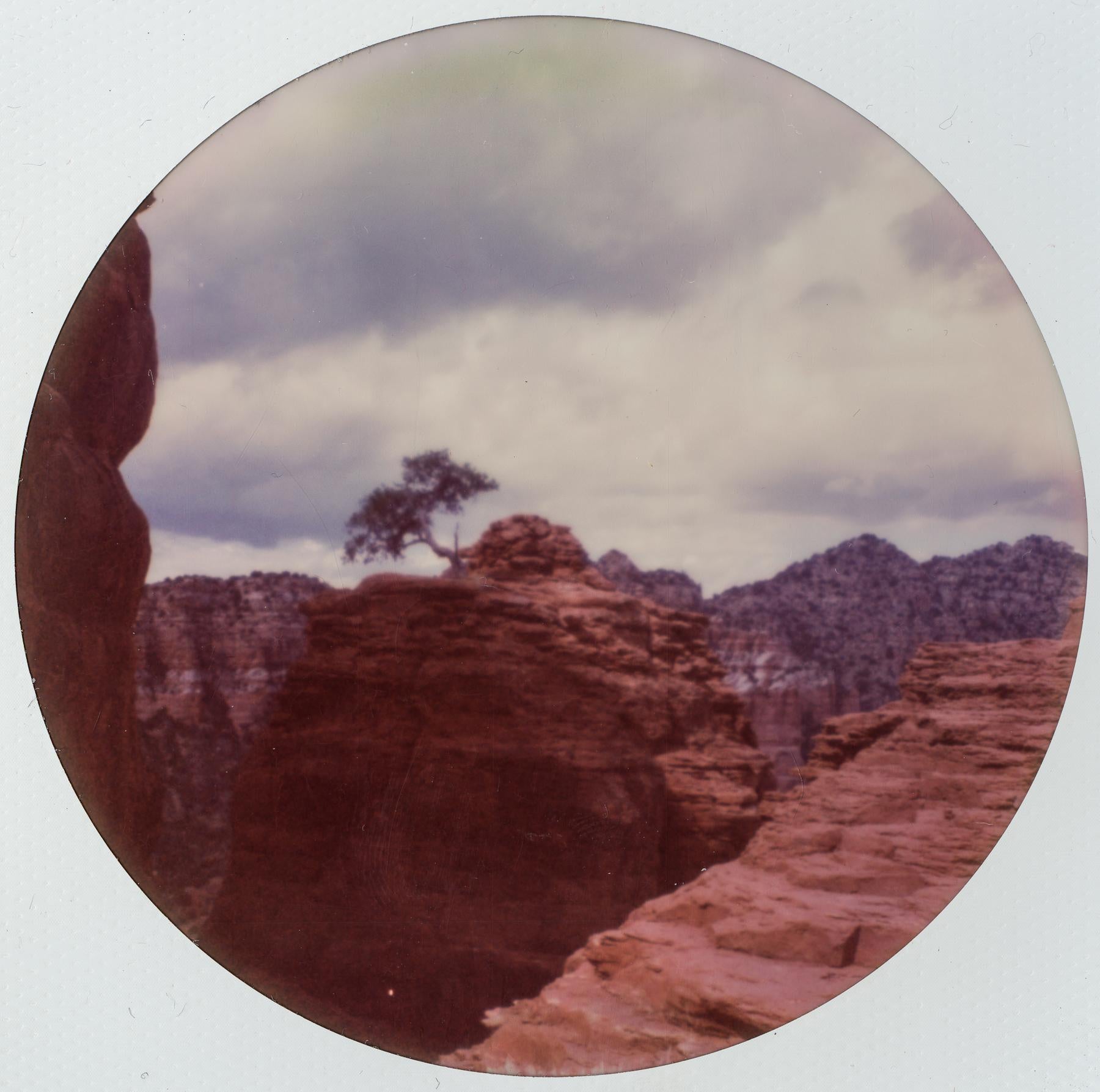 Color Photograph di Kirsten Thys van den Audenaerde - Sopravvivenza