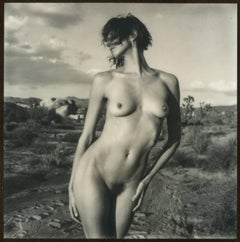 Swept Away - 21e siècle, Polaroid, photographie de nus