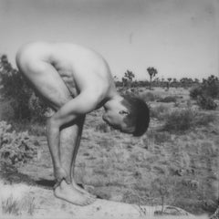 Take a Stand - Zeitgenössisch, Polaroid, Nackt, 21. Jahrhundert, Joshua Tree