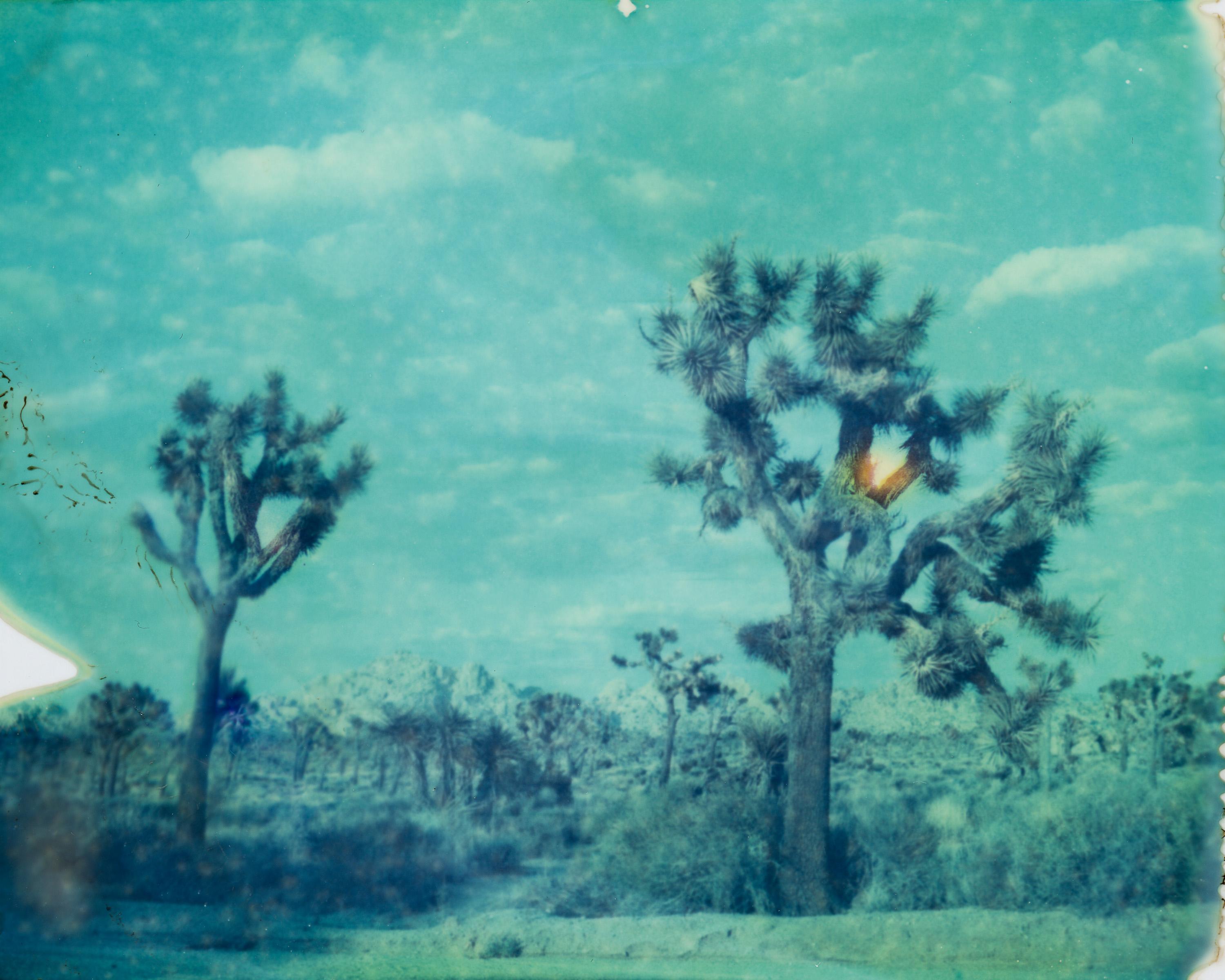 Kirsten Thys van den Audenaerde Landscape Photograph - There is a light that never goes out - Contemporary, Polaroid, Color