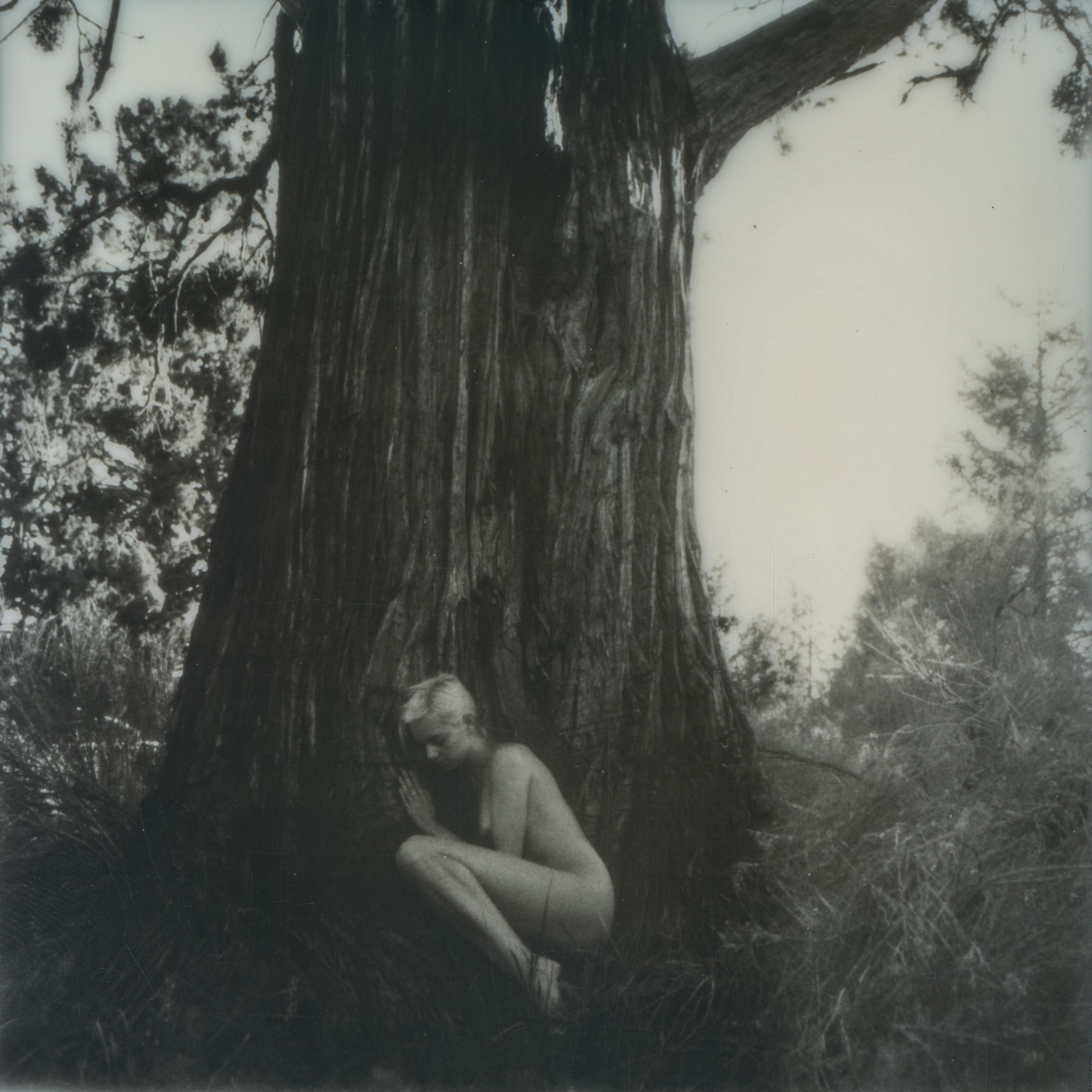 Kirsten Thys van den Audenaerde Nude Photograph – Baum des Lebens - Zeitgenössisch, figürlich, Frauen, Polaroid, Fotografie, Akt