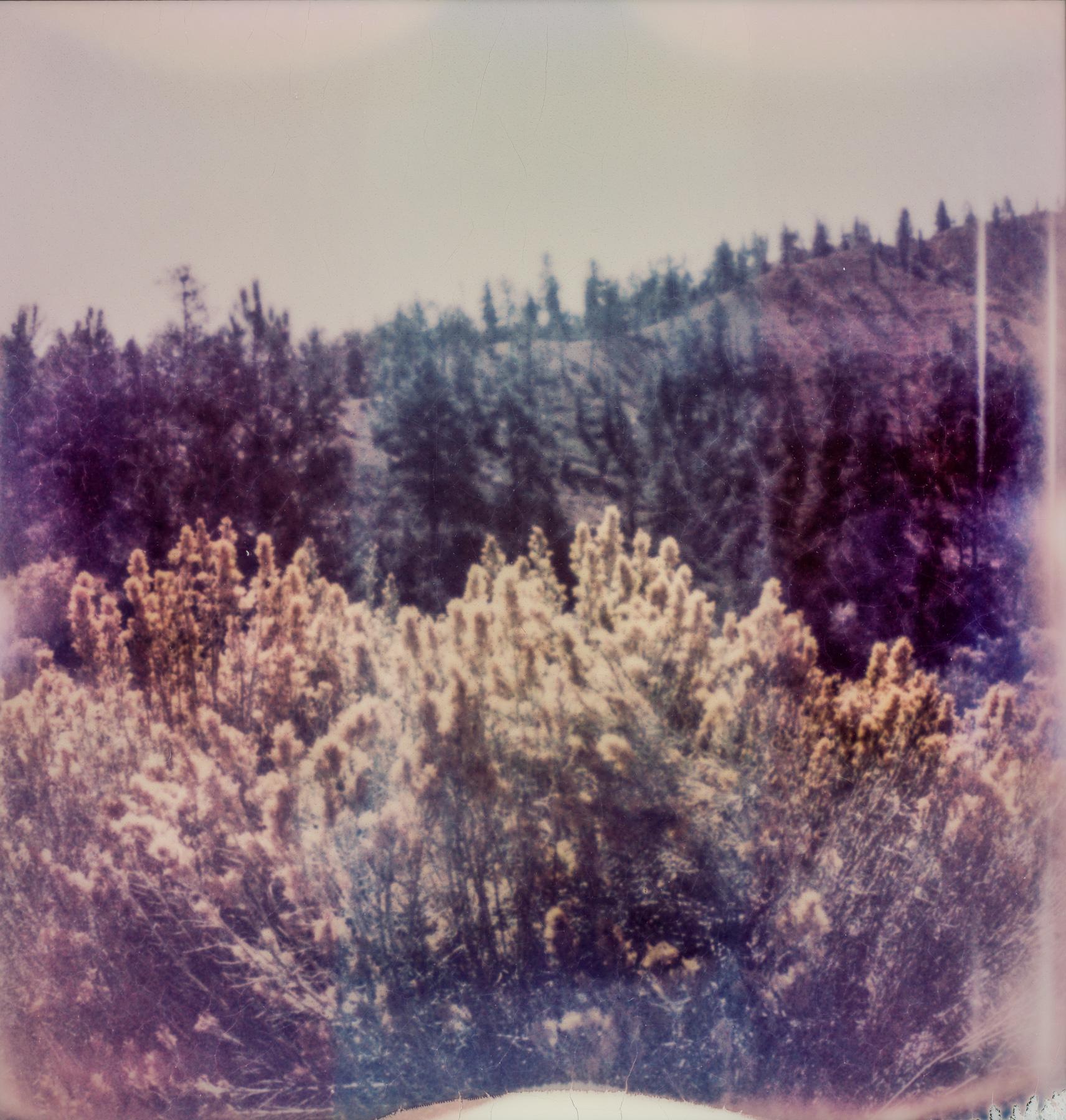 Kirsten Thys van den Audenaerde Landscape Photograph - Tricolore