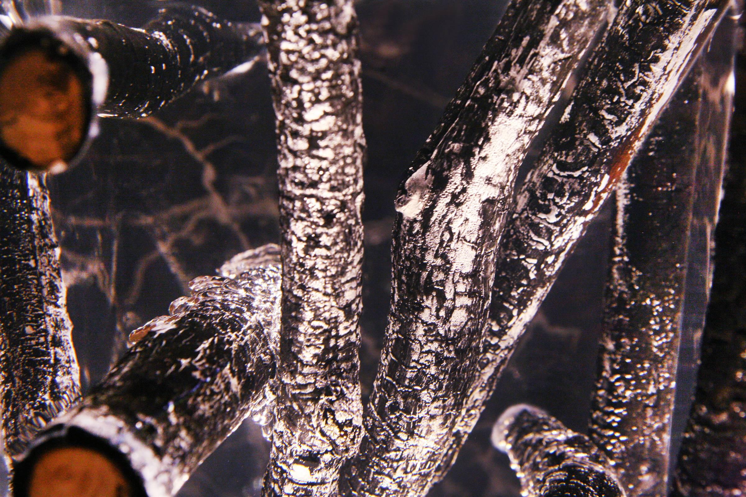 Table d'appoint Branches brûlées avec verre acrylique et bois flotté brûlé en vente 1