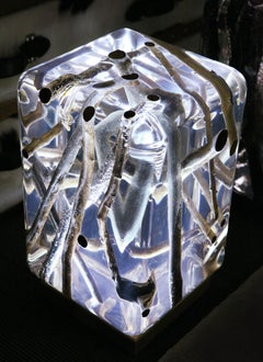 Clear Branches C Side Table with Acrylic Glass and Driftwood