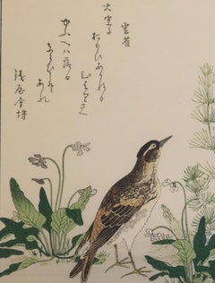 "Quail, Skylark (Uzura hibari)" Japanese Woodblock Print of Birds w Nature Poem