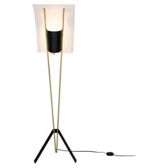 Kite Floor Lamp by Pierre Guariche, Brass and Steel, Mid-Century