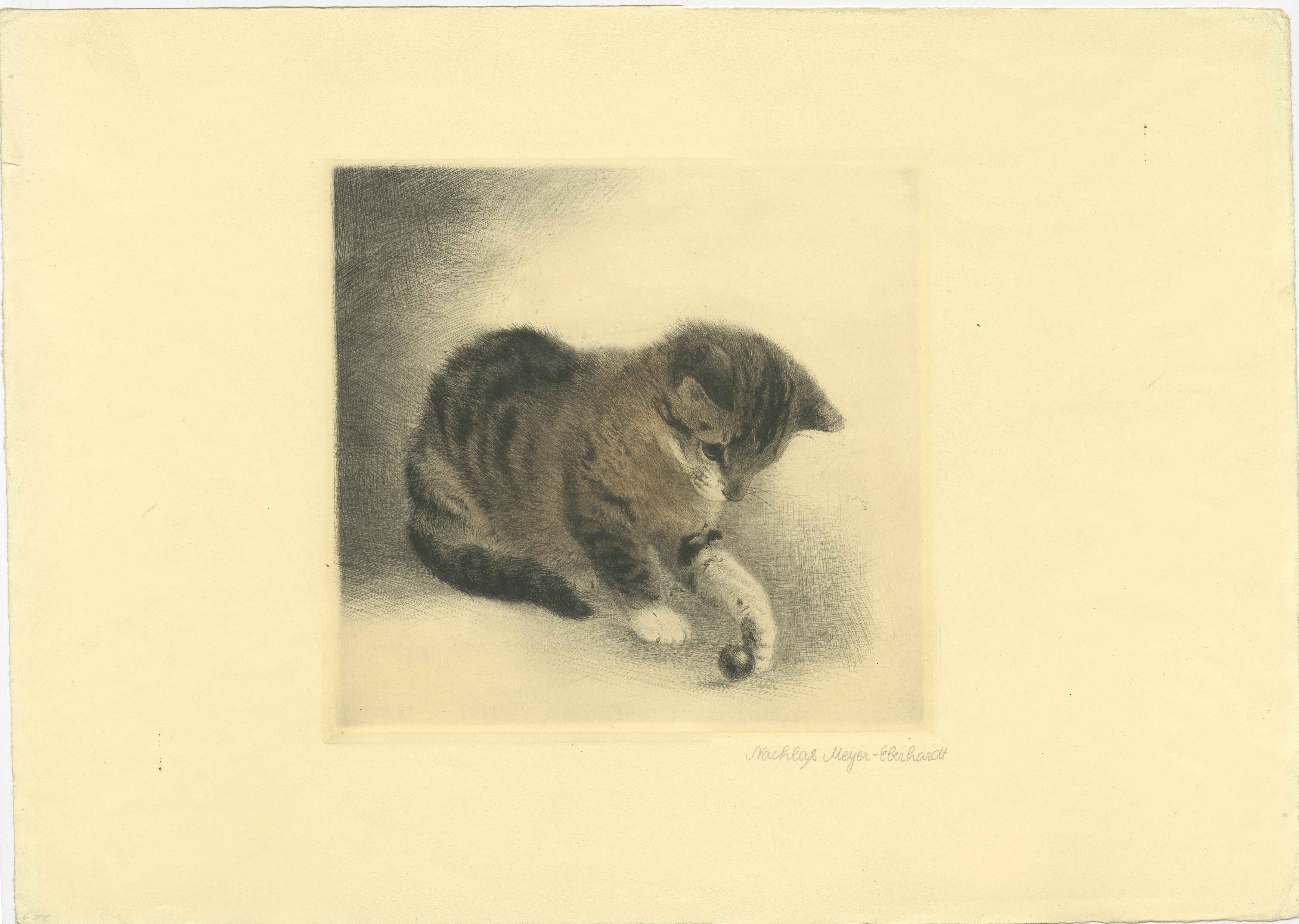 Gattino che gioca con una biglia - Acquaforte di Kurt Meyer-Eberhardt, 1977 Estate

Questa incantevole acquaforte raffigura un gattino giocherellone, reso in modo squisito dal talentuoso artista tedesco di animali Kurt Meyer-Eberhardt (1895-1977).