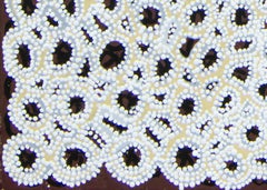 Luga. Abstract Aboriginal painting about cracking mud. Ocher and pigments