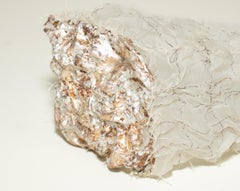 Kiyomi Iwata Caja de hongos de plata