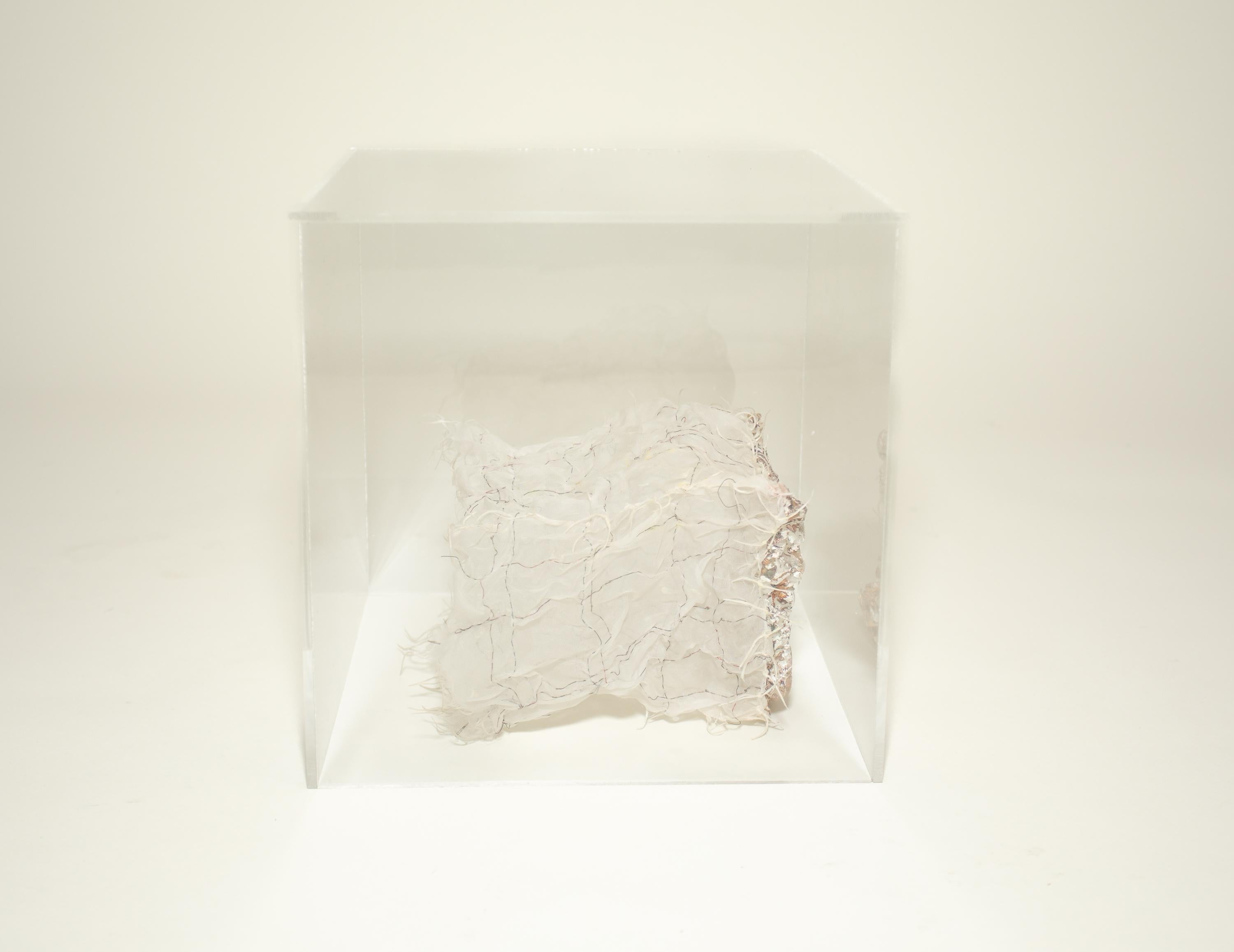Late 20th Century Kiyomi Iwata Silver fungus Box For Sale