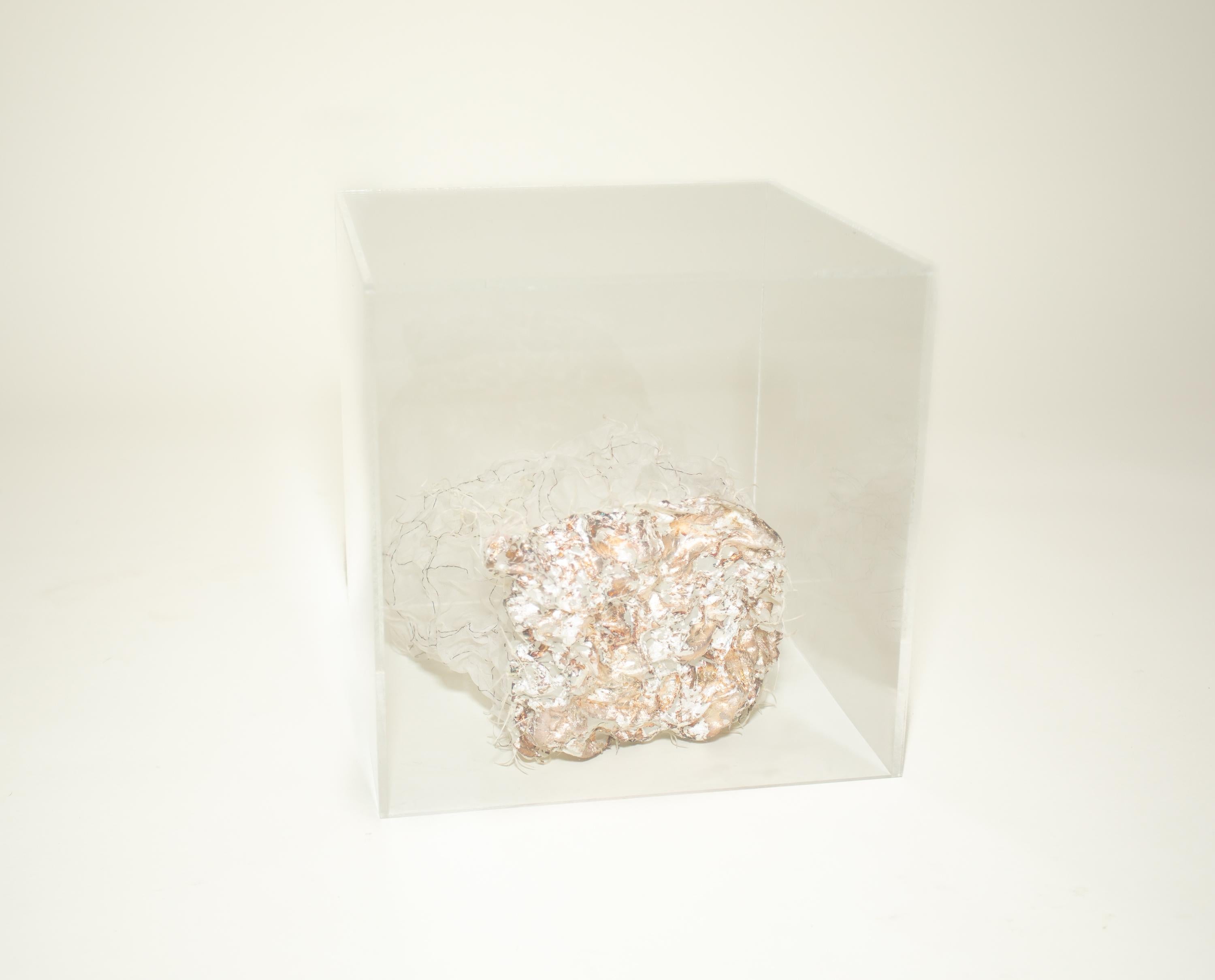 Silk Kiyomi Iwata Silver fungus Box For Sale