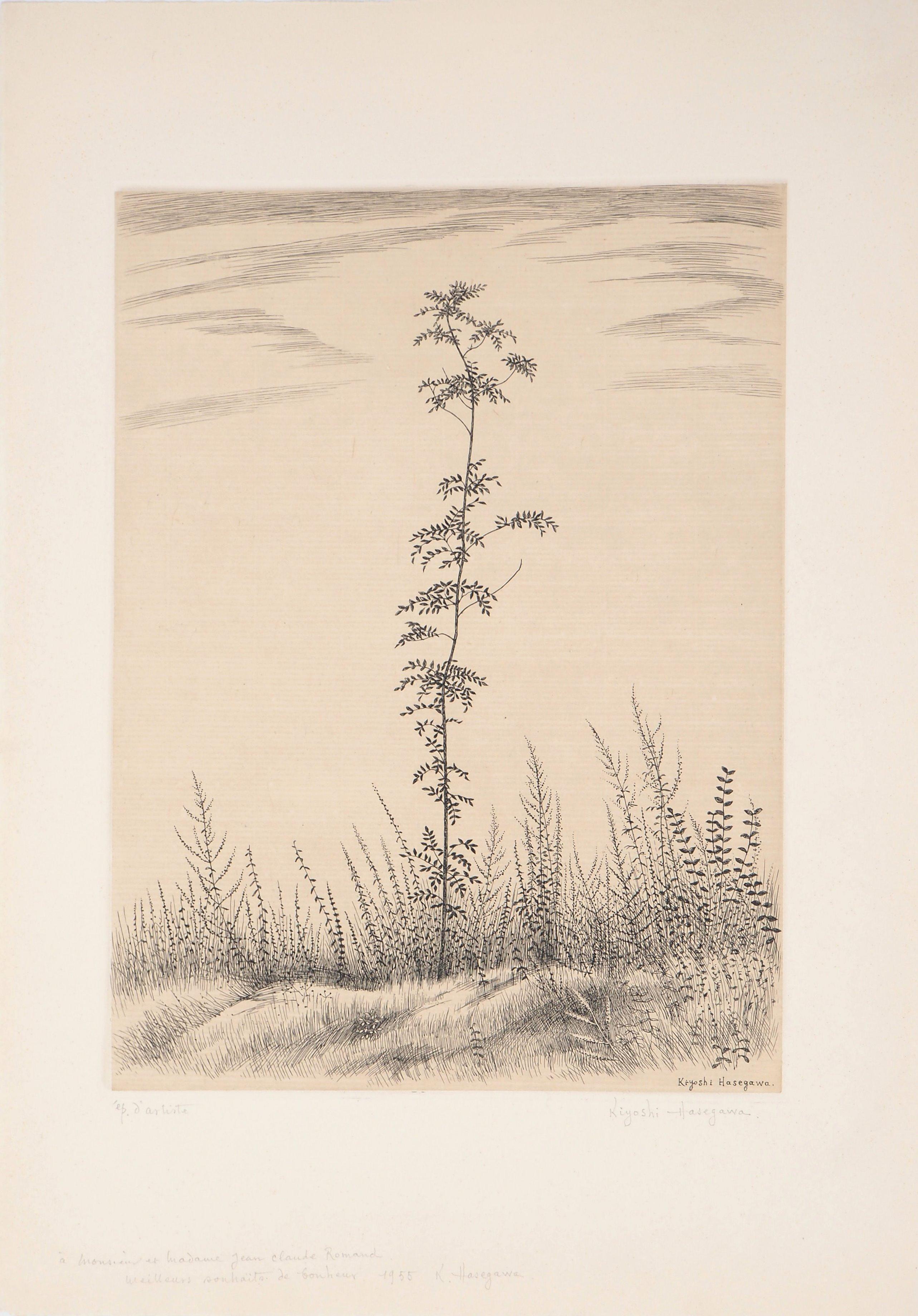 A Young Tree  - Original handsigned etching, Limited to 50 copies, 1953 - Print by Kiyoshi Hasegawa