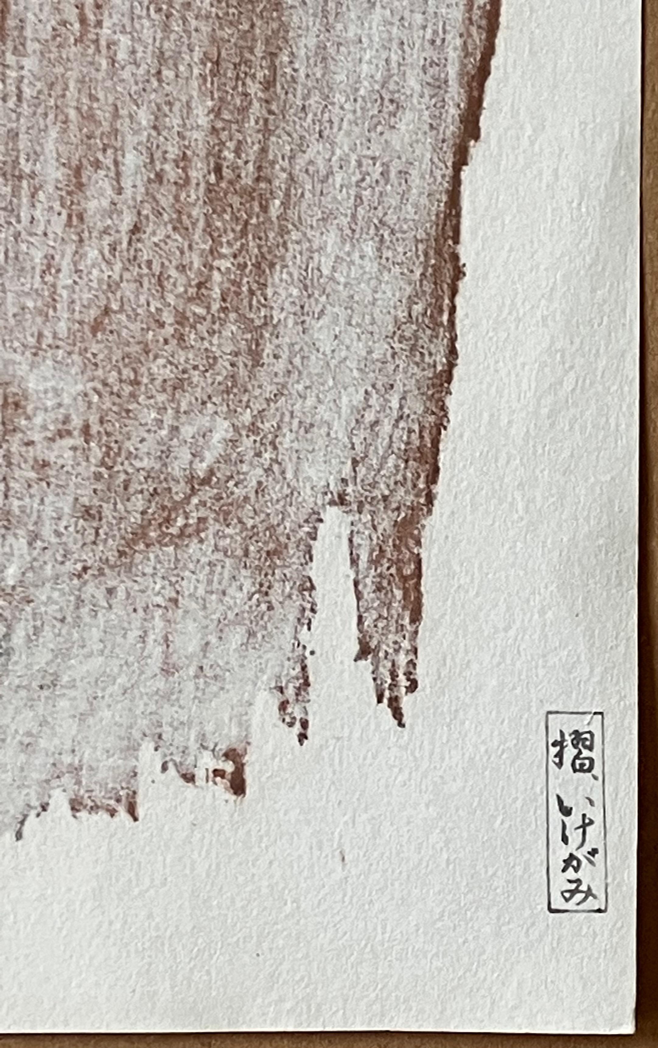 Artista: Kiyoshi Saito - Japonés - (1907-1997)
Título: Chico de Aizu
Año: hacia la década de 1950
Medio: Plancha de madera
Tamaño de la imagen: 15 x 10 pulgadas. 
Tamaño de la hoja: 16,5x 11 pulgadas. 
Firma: Firmado, sellado abajo a la derecha.