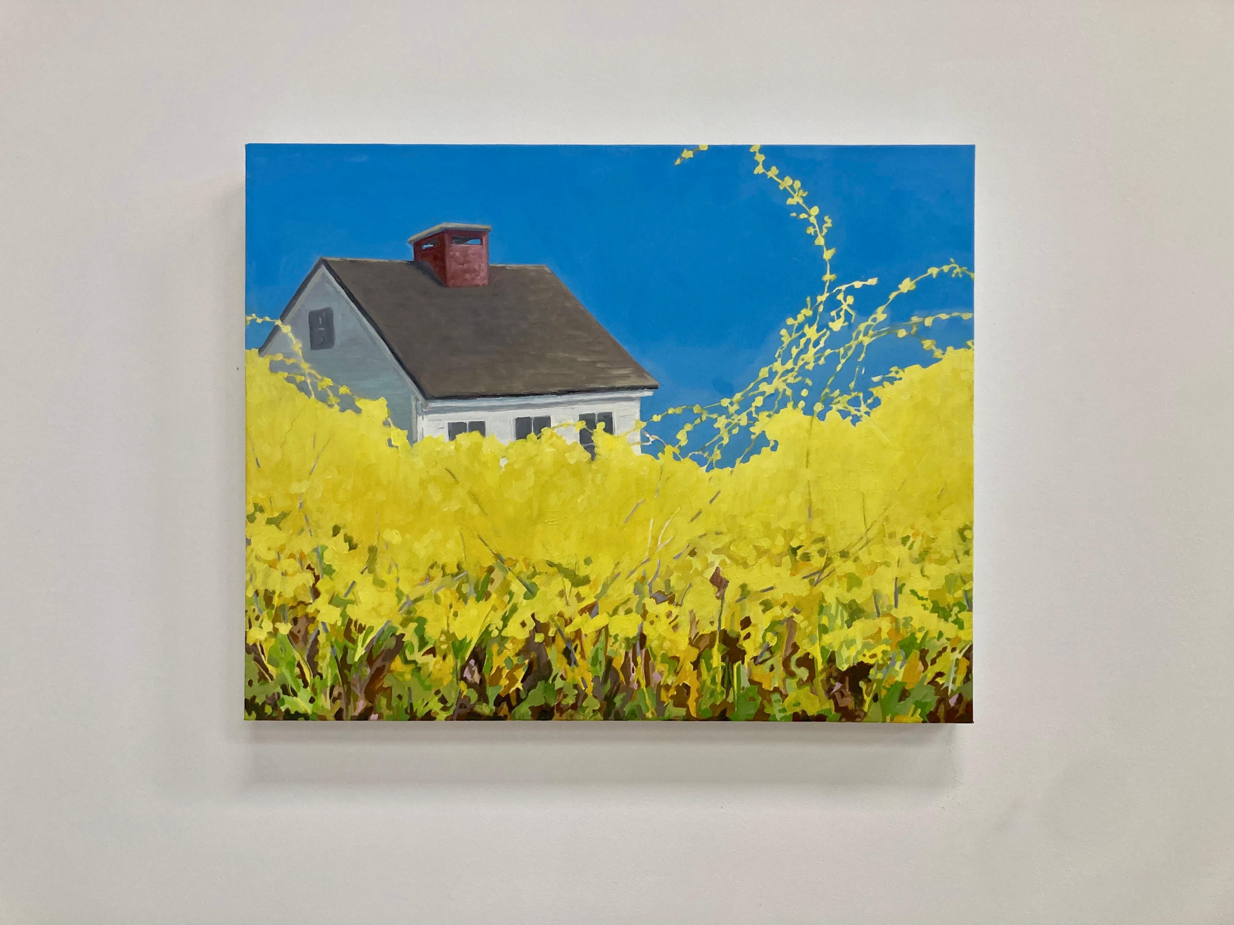 Forsythia, White House, Bright Blue Sky, Spring Botanical, Yellow Flowers - Painting by KK Kozik