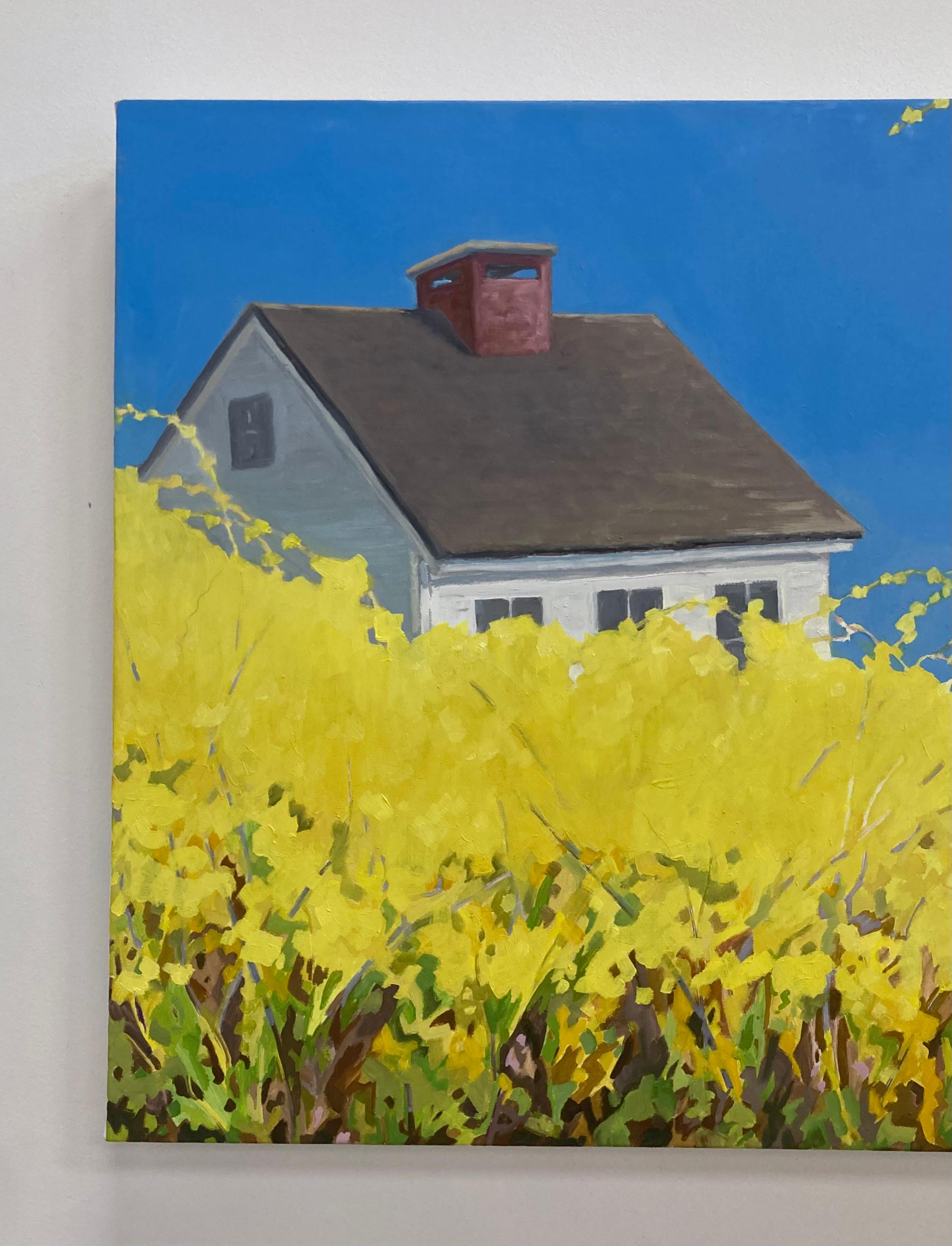 Forsythia, White House, Bright Blue Sky, Spring Botanical, Yellow Flowers - Contemporary Painting by KK Kozik