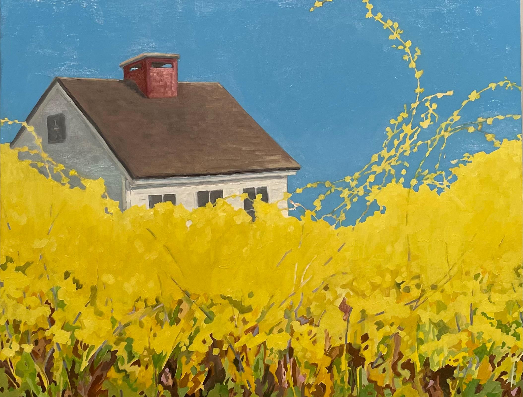 KK Kozik Landscape Painting - Forsythia, White House, Bright Blue Sky, Spring Botanical, Yellow Flowers