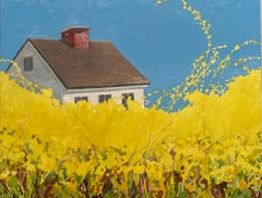 Forsythia, Weißes Haus, leuchtend blauer Himmel, Frühling botanisch, gelbe Blumen