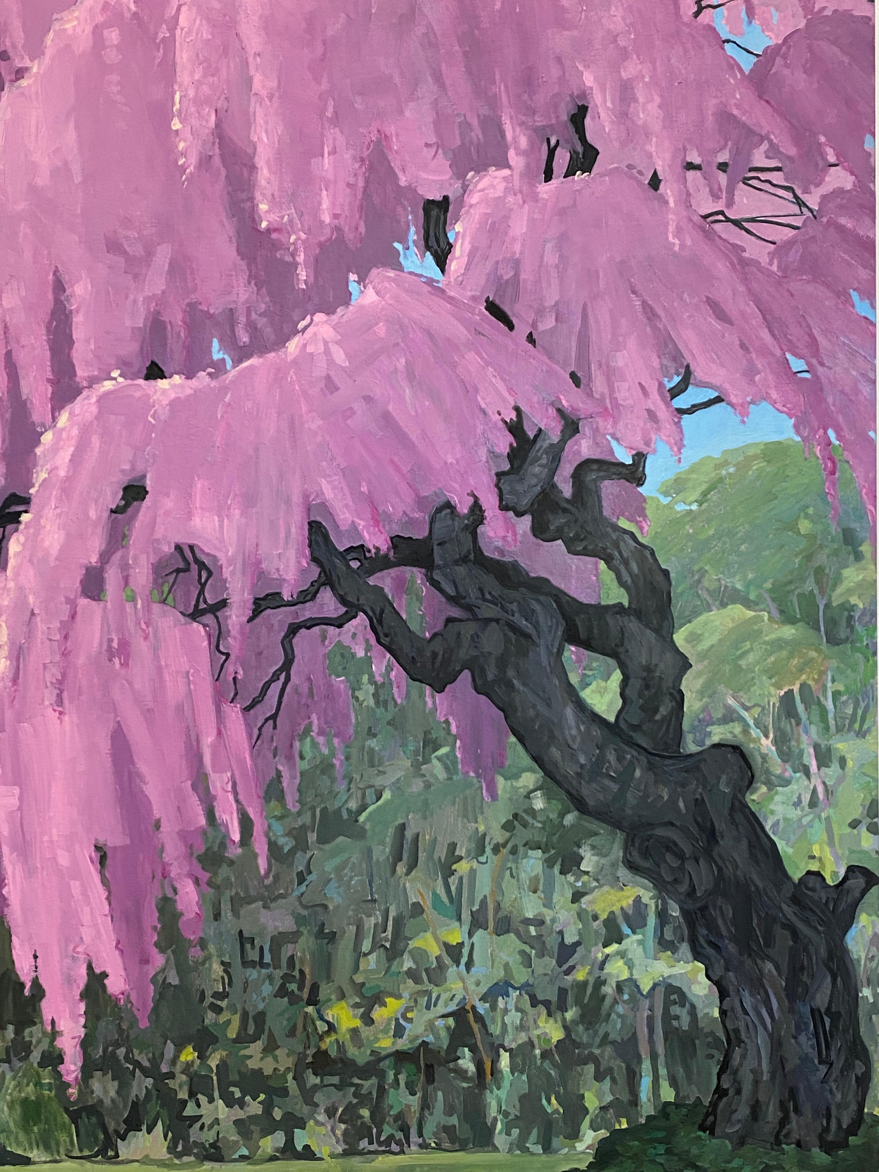 pink weeping cherry blossom tree