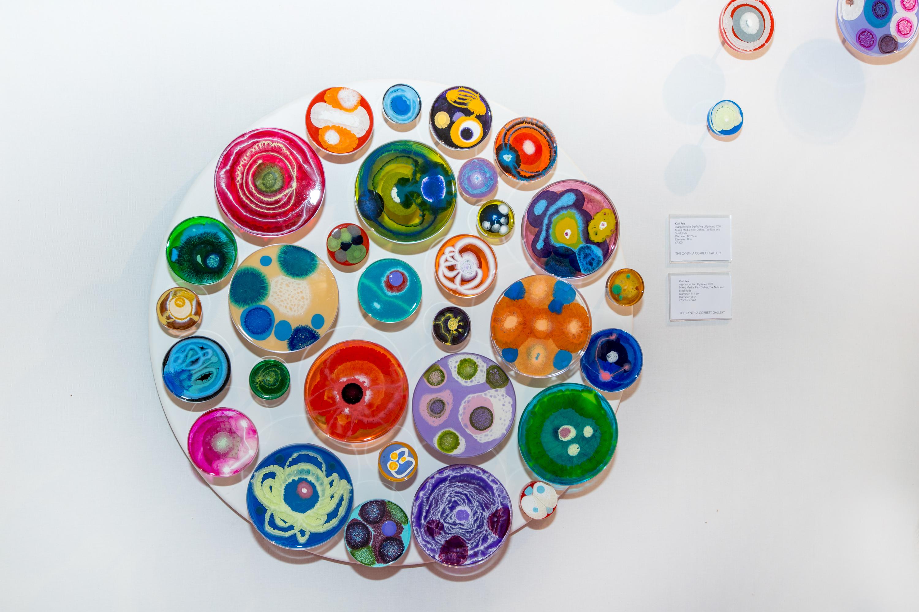 Hypochondria 30 pieces, Bright coloured smears, bump and blobs on Petri Dishes.  - Contemporary Mixed Media Art by Klari Reis