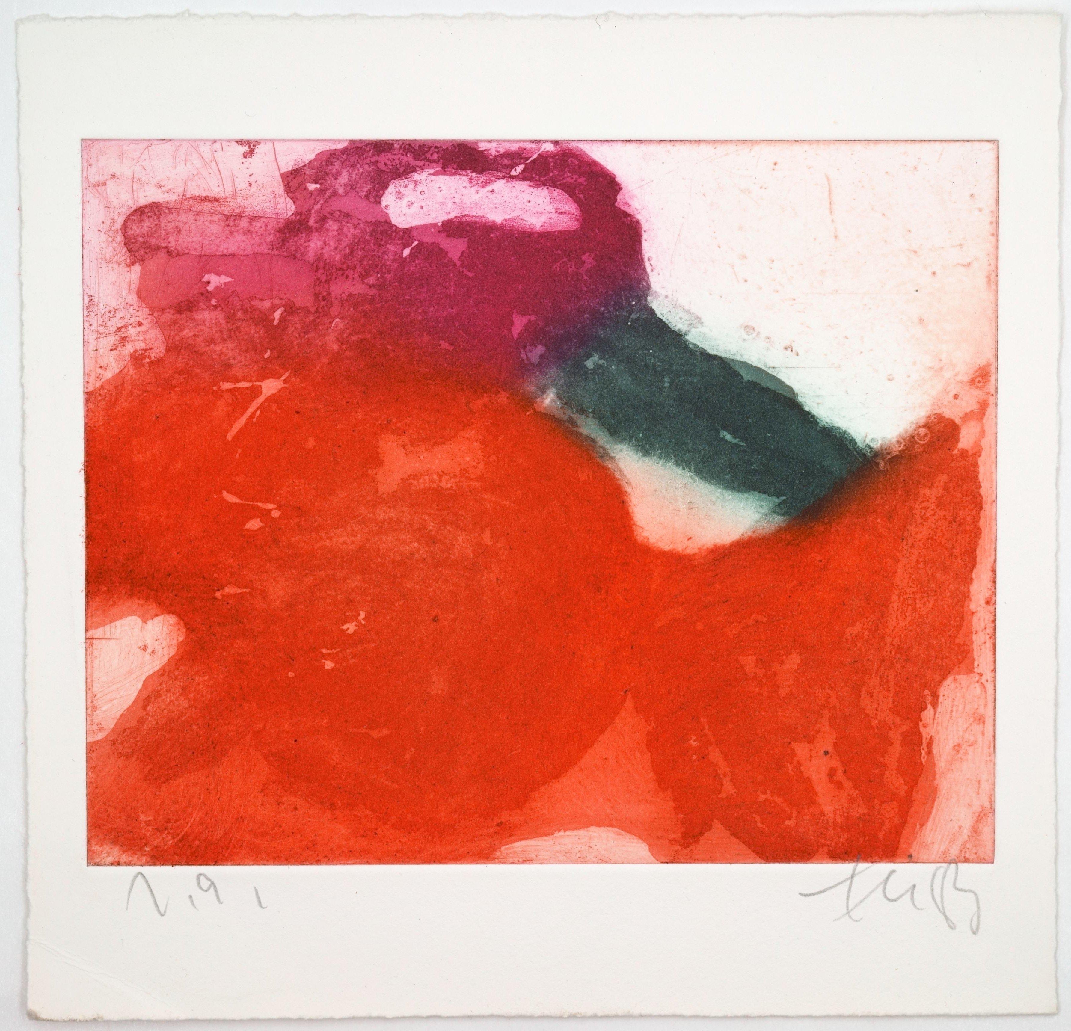 Gladioli / - The figurativeness of abstraction - - Abstract Impressionist Print by Klaus Fussmann