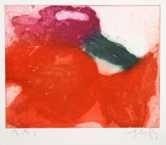 Gladioli / - La figuratività dell'astrazione -