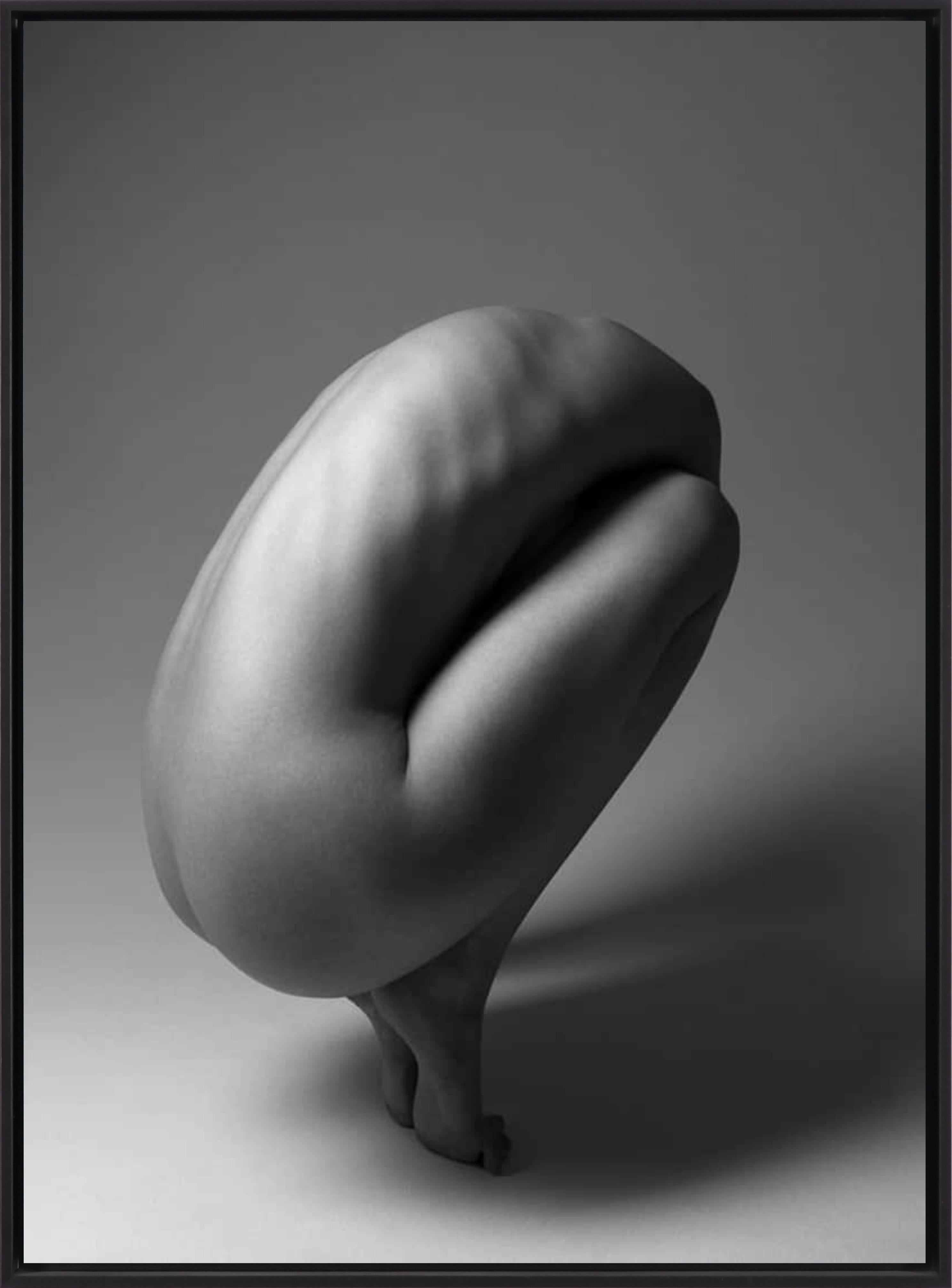 156.01.11 ist eine Schwarz-Weiß-Fotografie des zeitgenössischen Künstlers Klaus Kampert aus der Serie Torsi in limitierter Auflage.

Dieses Foto ist auf 15 Exemplare limitiert und wird gerahmt mit einer schwarzen Schattenbox verkauft. Die