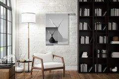 168.05.12 par Klaus Kampert - photographie de nu en noir et blanc, corps de femme