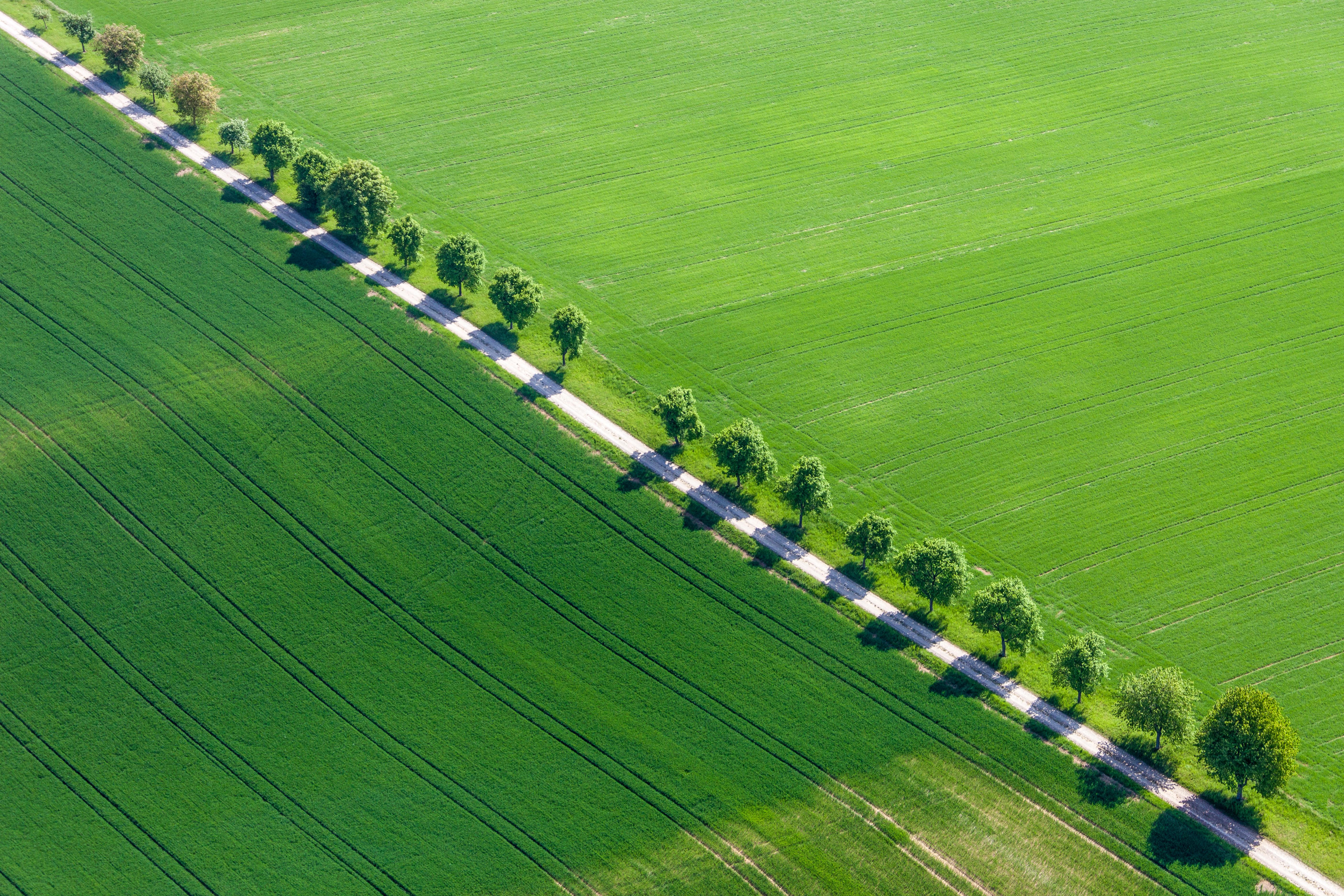 Nature geometric abstract I Aerial color photography - Contemporary Photograph by Klaus Leidorf