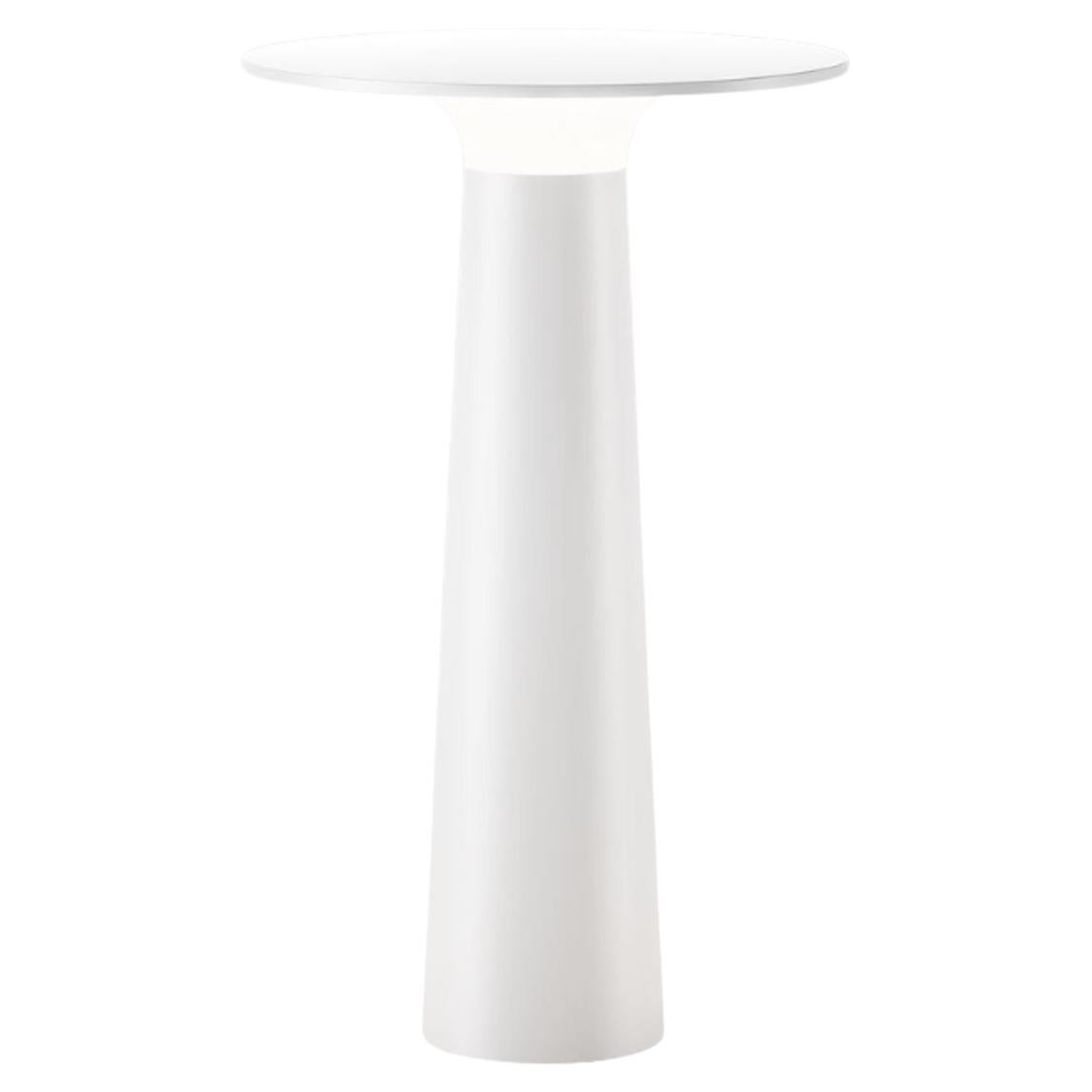 Klaus Nolting 'Lix' Portable Outdoor Aluminum Table Lamp in Sage for IP44de For Sale 2