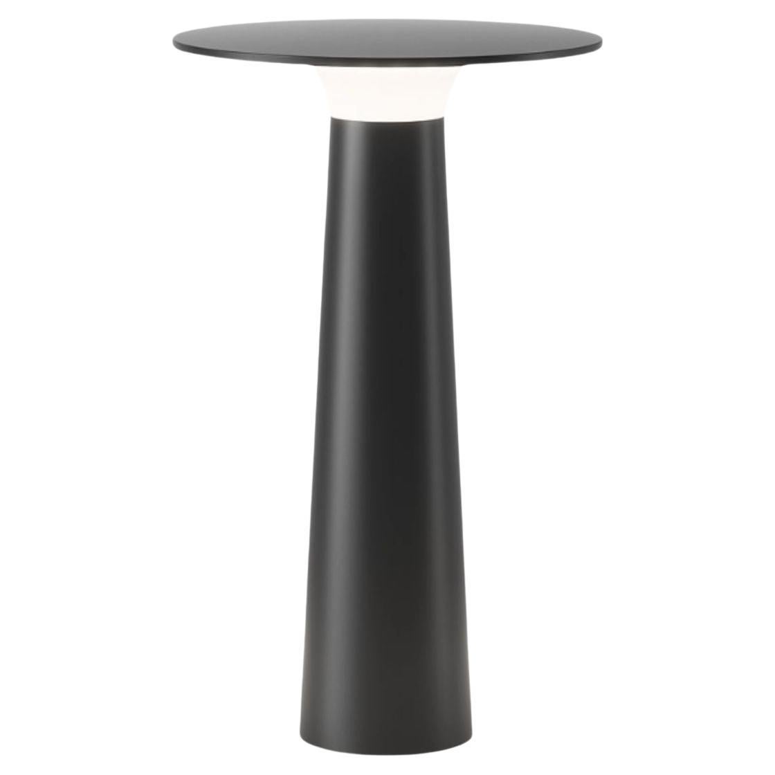 Klaus Nolting 'Lix' Portable Outdoor Aluminum Table Lamp in Sage for IP44de For Sale 3