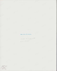 Ella Fitzgerald in Concert, Germany 1965 - Original Vintage Photograph