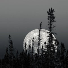 Boreal Moon, Photograph, Archival Ink Jet
