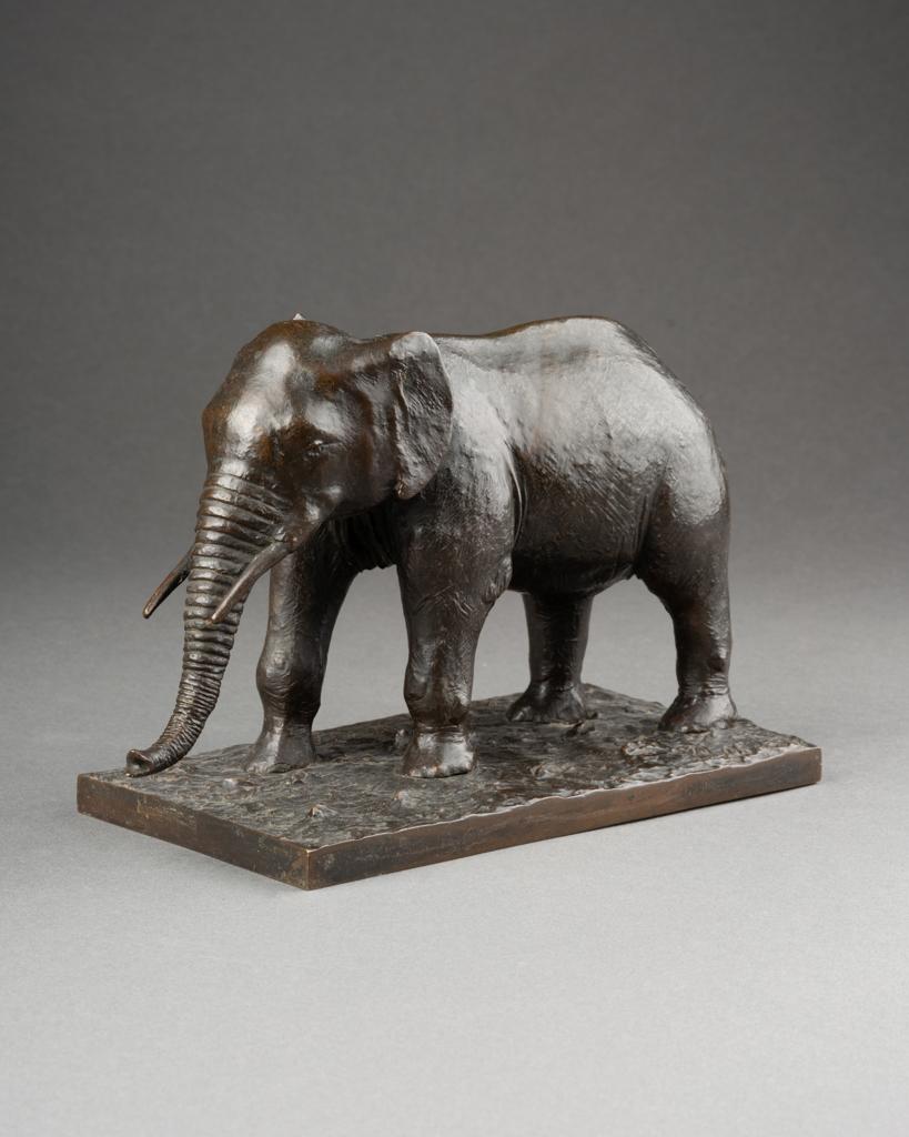 KLOSTER : Éléphant d'Asie 

Sculpture en bronze patiné représentant un éléphant debout

Signé 